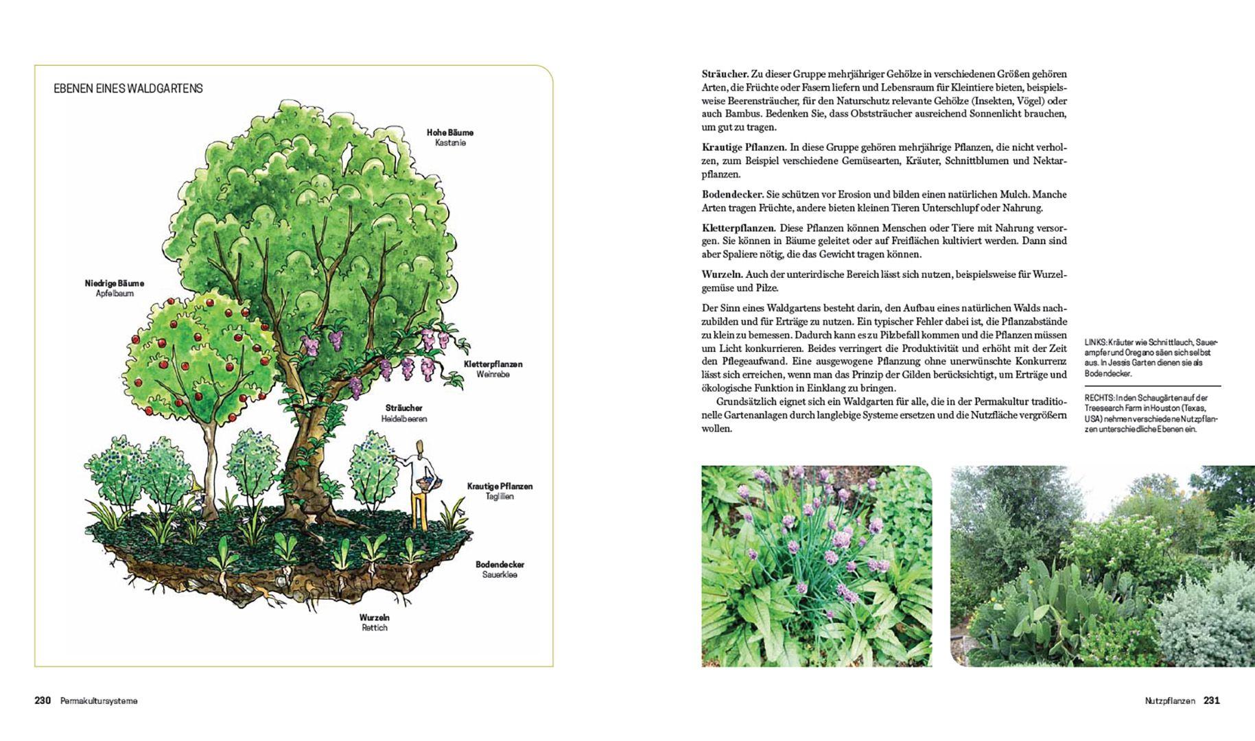 Beispielinhalt (Bild) Praxisbuch Permakultur