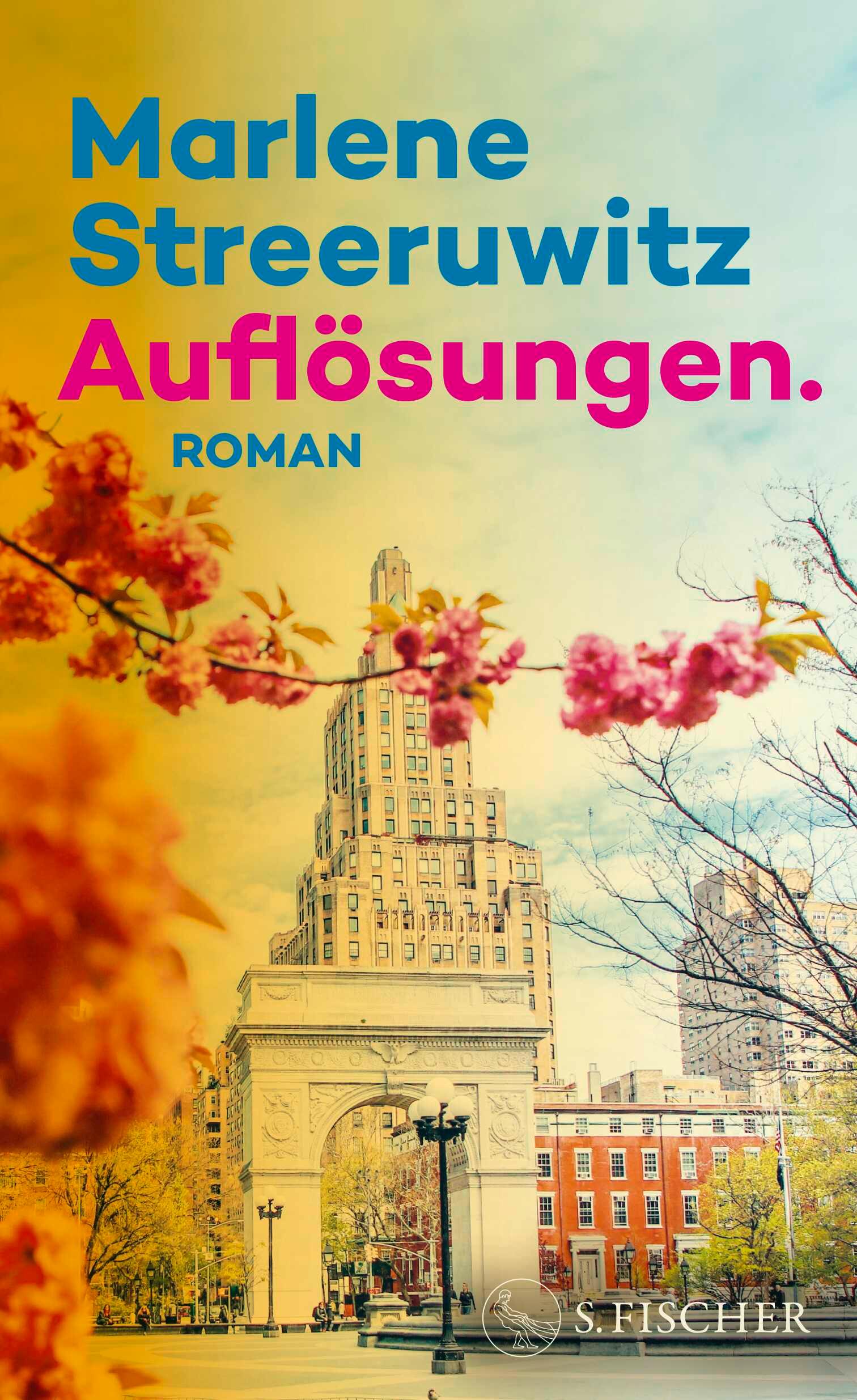 Vorderes Coverbild Auflösungen.