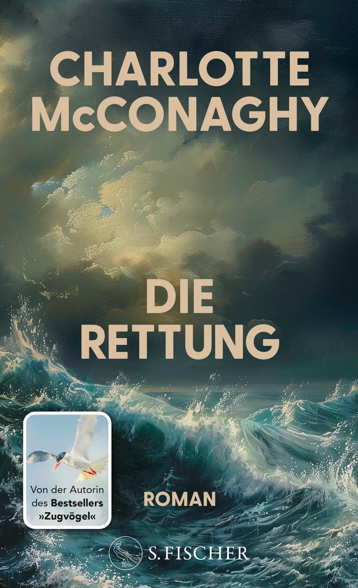 Vorderes Coverbild Die Rettung