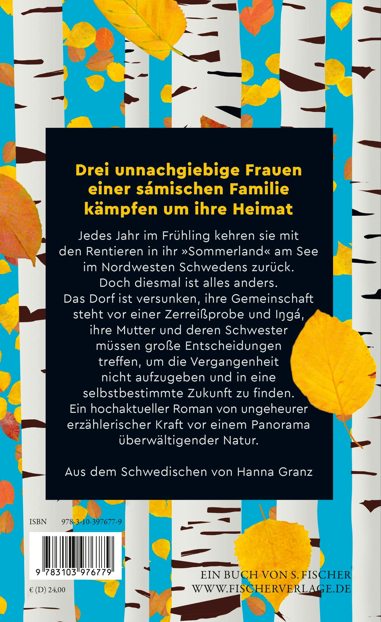 Rückseitencover Das Echo der Sommer