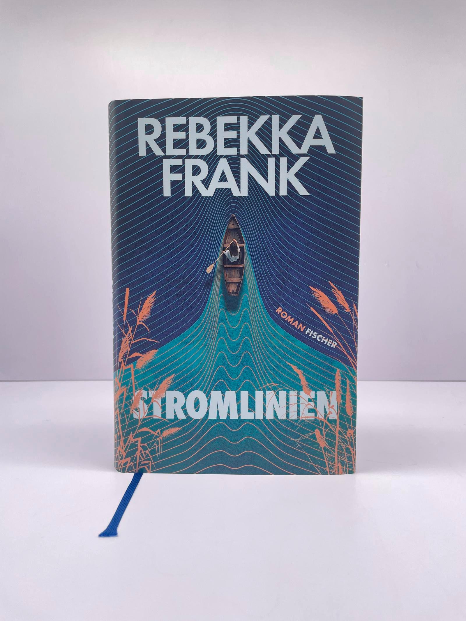 Beispielinhalt (Bild) Stromlinien