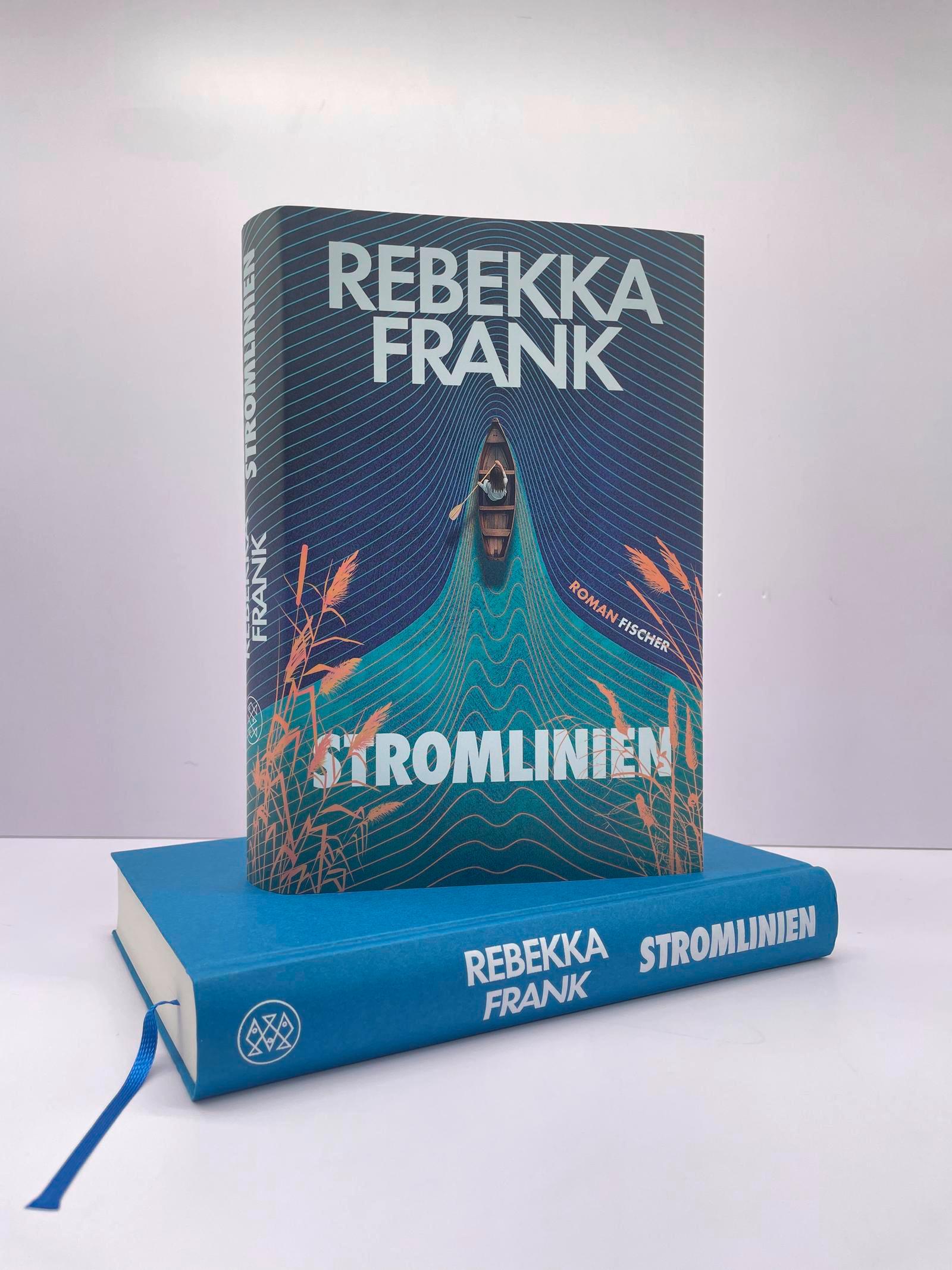 Beispielinhalt (Bild) Stromlinien