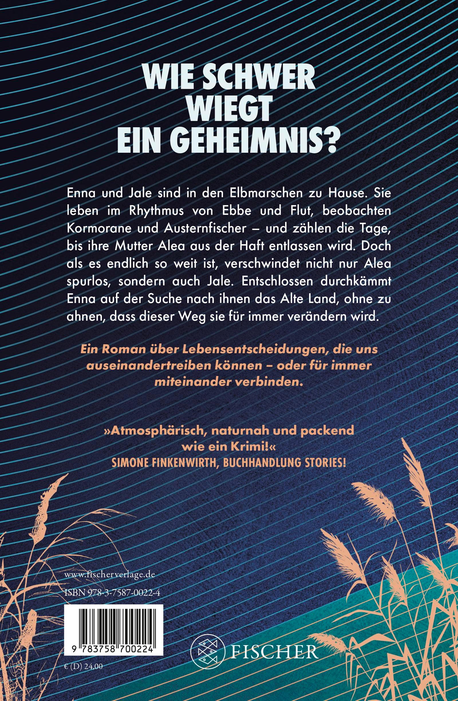 Rückseitencover Stromlinien