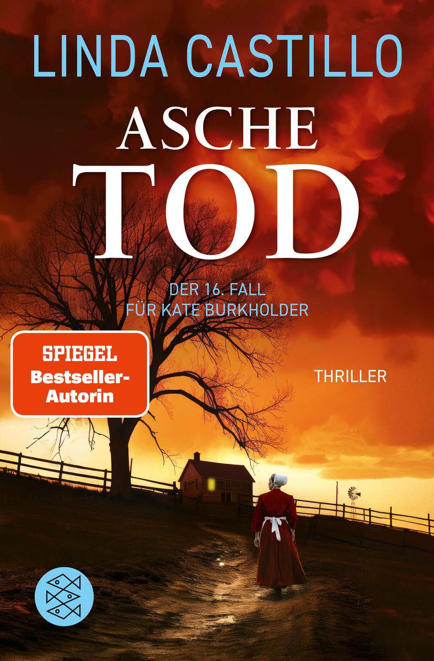 Vorderes Coverbild Aschetod