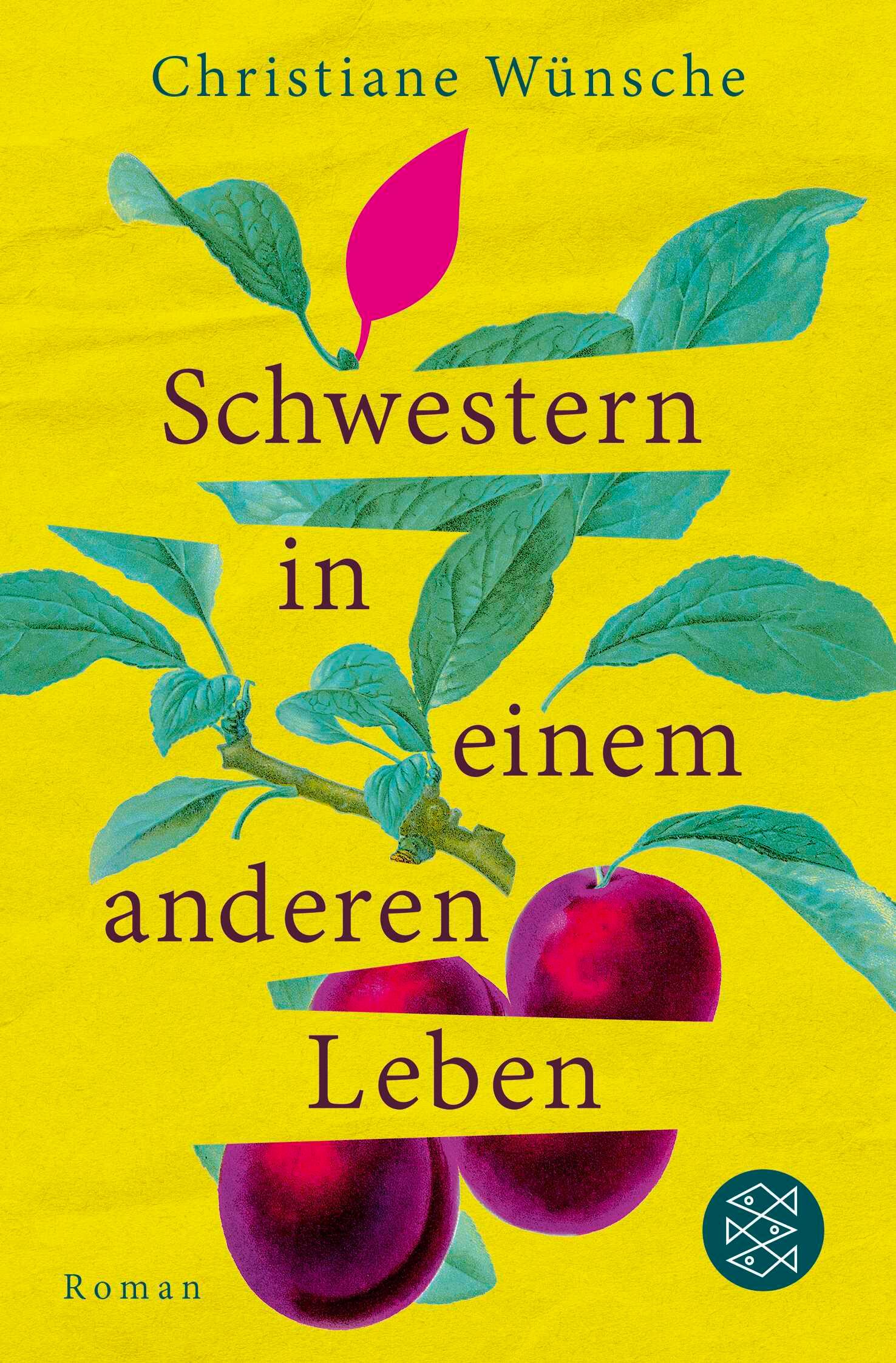 Vorderes Coverbild Schwestern in einem anderen Leben