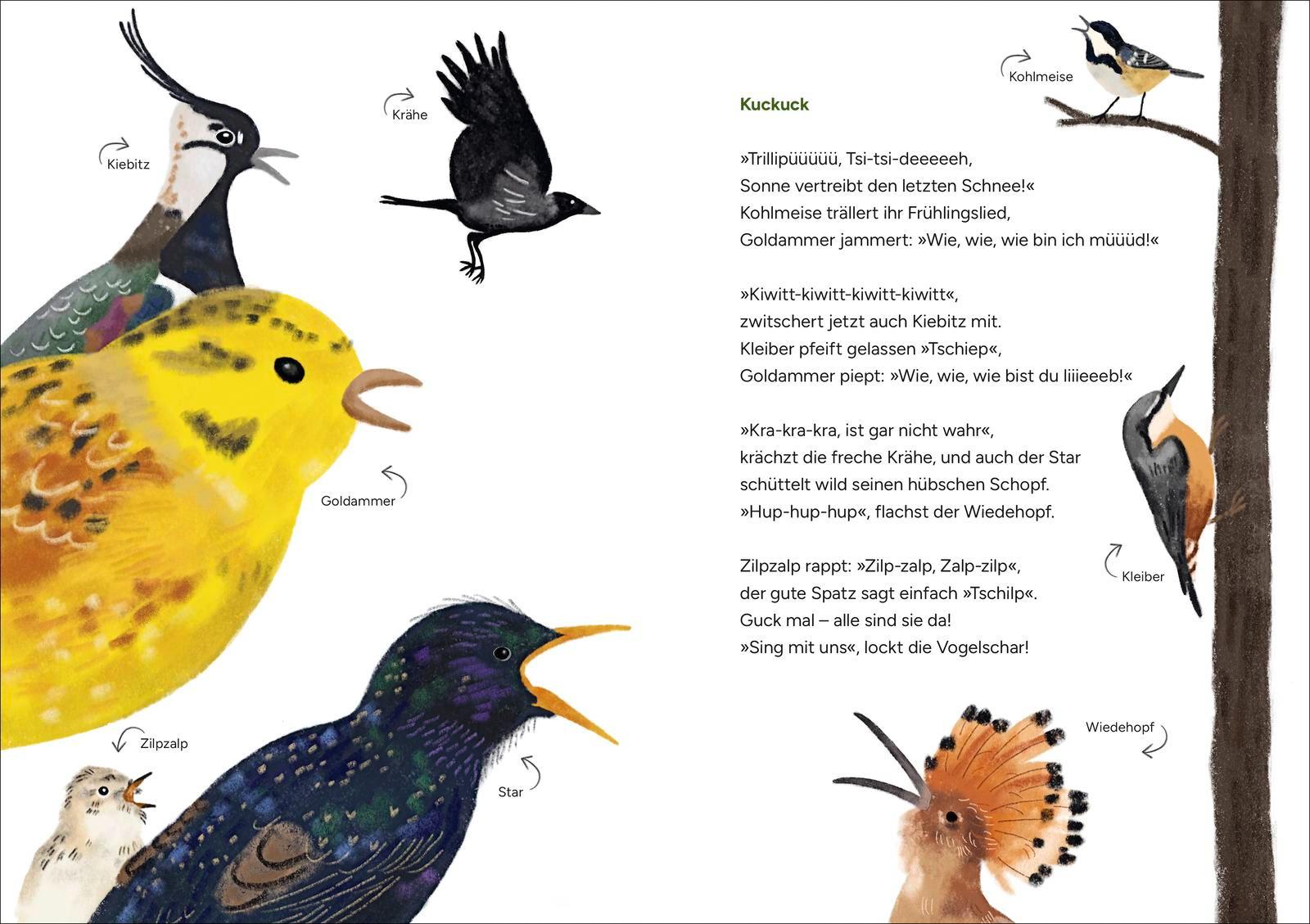 Beispielinhalt (Bild) Augen auf, der Frühling kommt!