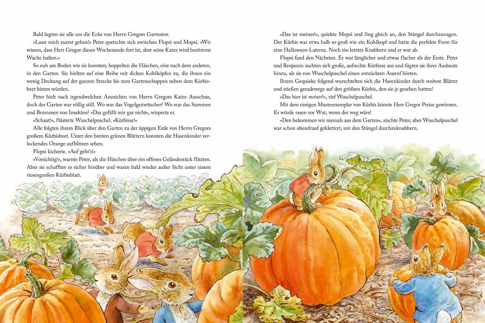 Beispielinhalt (Bild) Die Welt von Peter Hase Allen eine gute Nacht