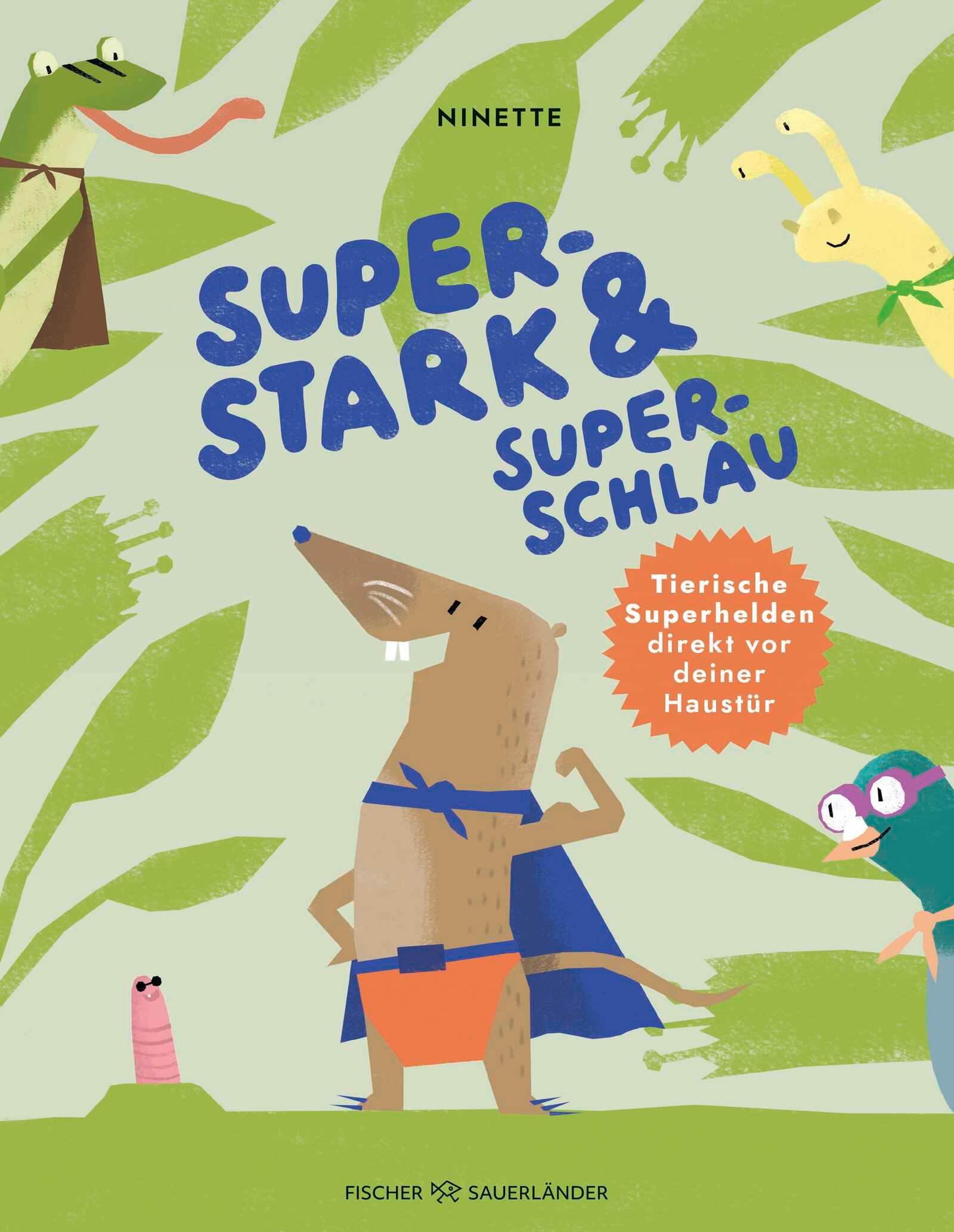 Vorderes Coverbild Superstark & superschlau