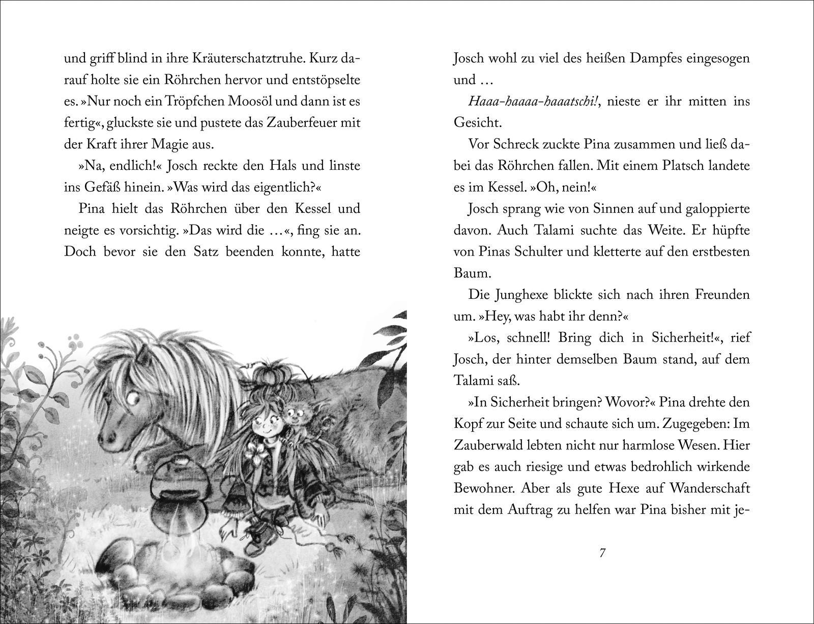 Beispielinhalt (Bild) Pina Ponyhexe - Der verlorene Fuchs