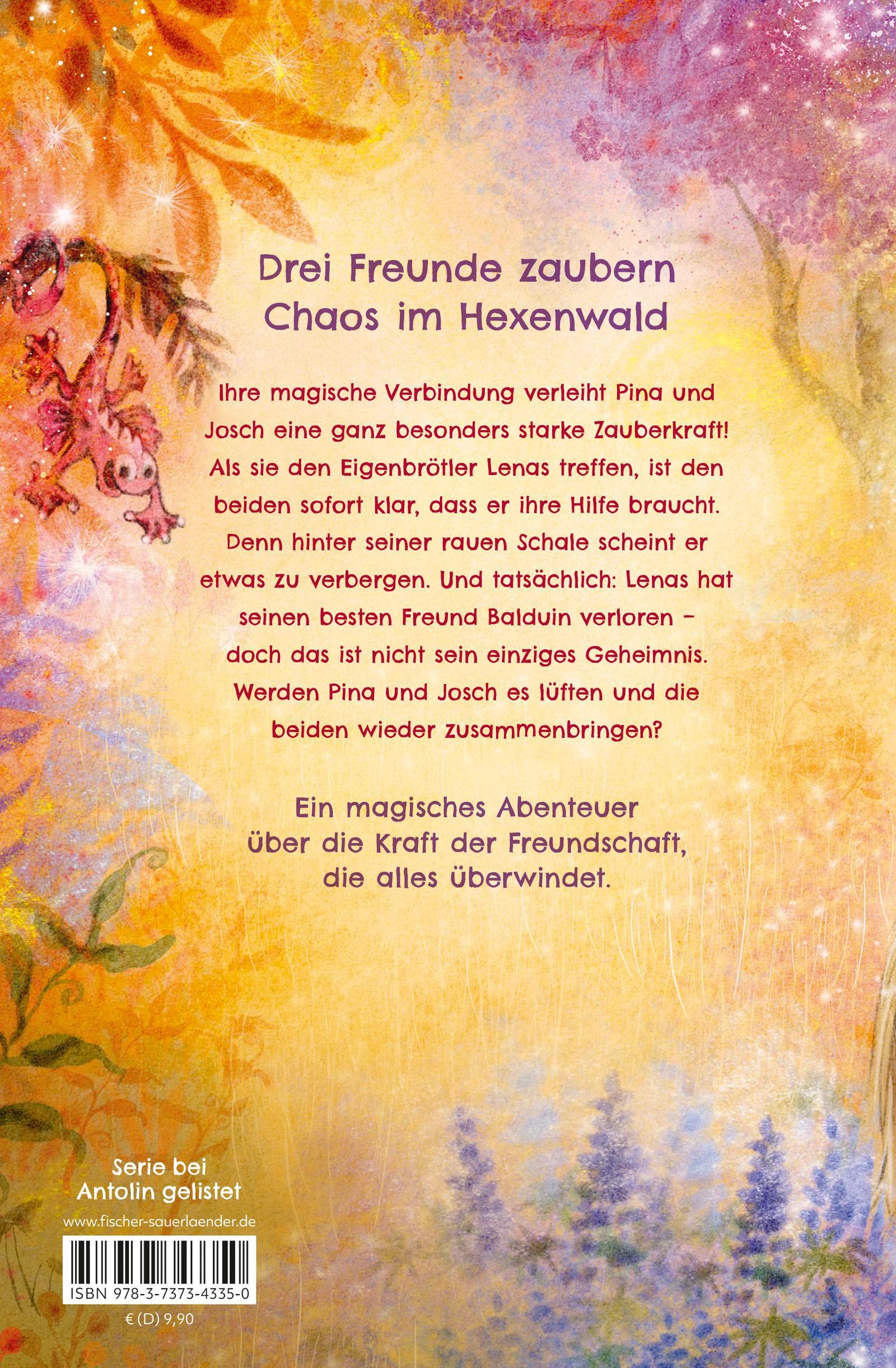 Rückseitencover Pina Ponyhexe - Der verlorene Fuchs