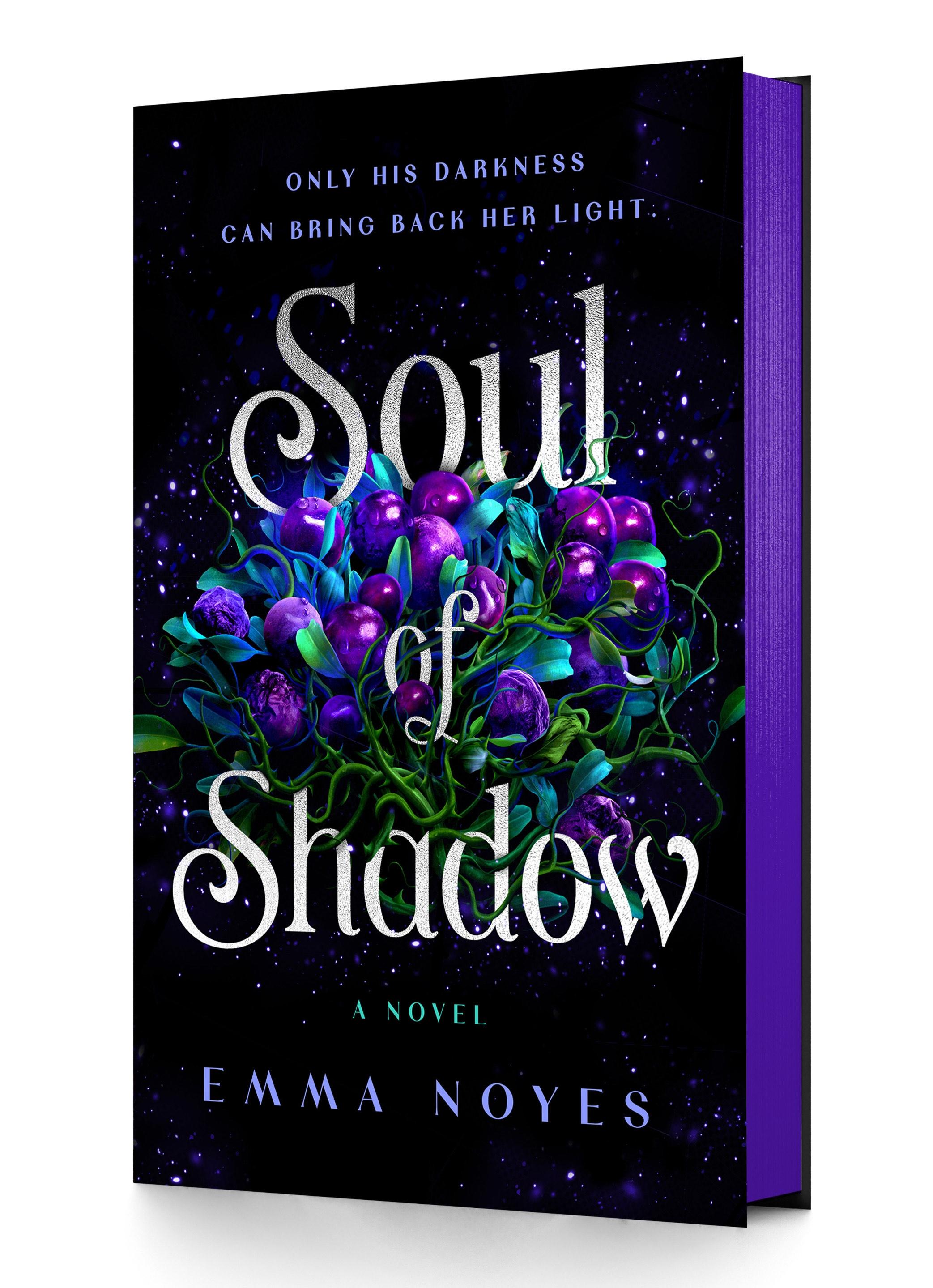 Vorderes Coverbild Soul of Shadow
