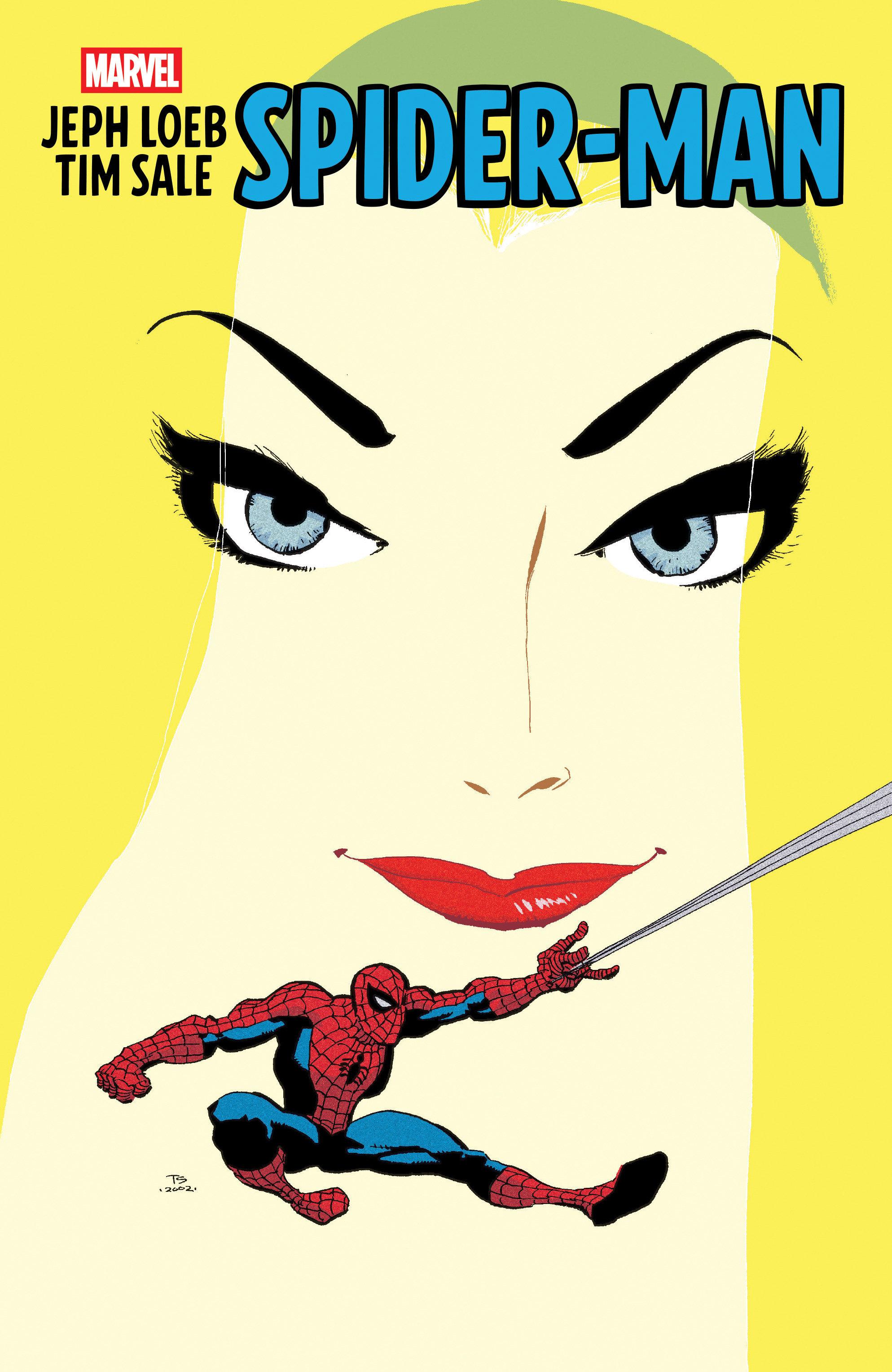 Vorderes Coverbild Jeph Loeb & Tim Sale: Spider-Man