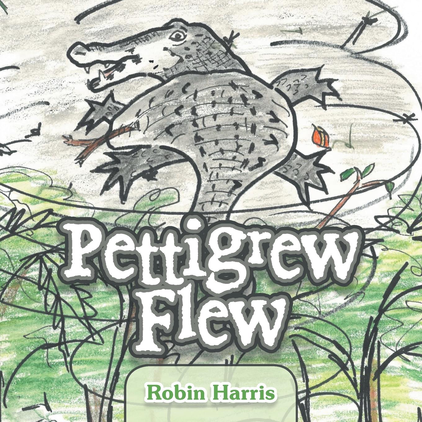 Vorderes Coverbild Pettigrew Flew