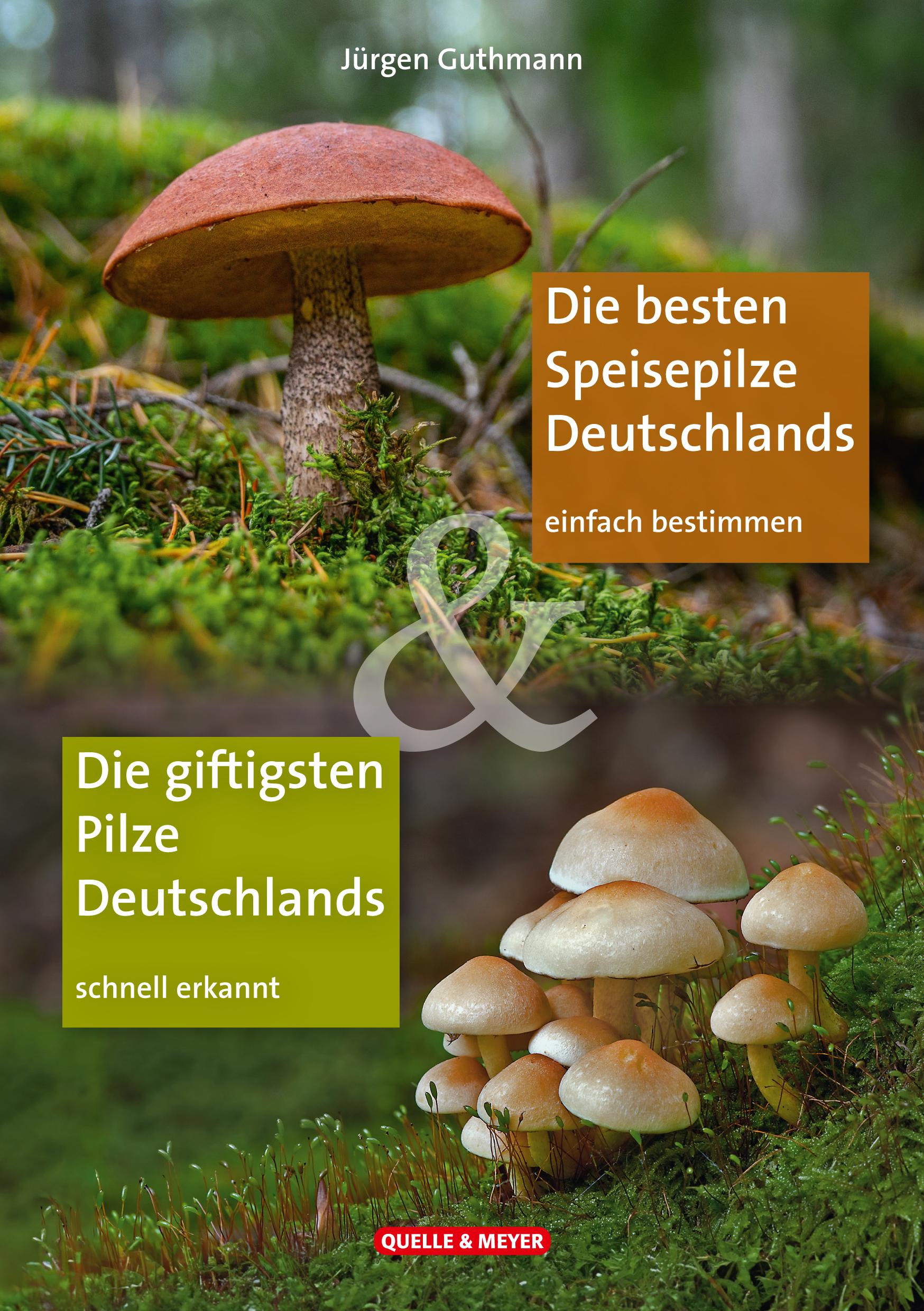 Vorderes Coverbild Die besten Speisepilze & Die giftigsten Pilze Deutschlands