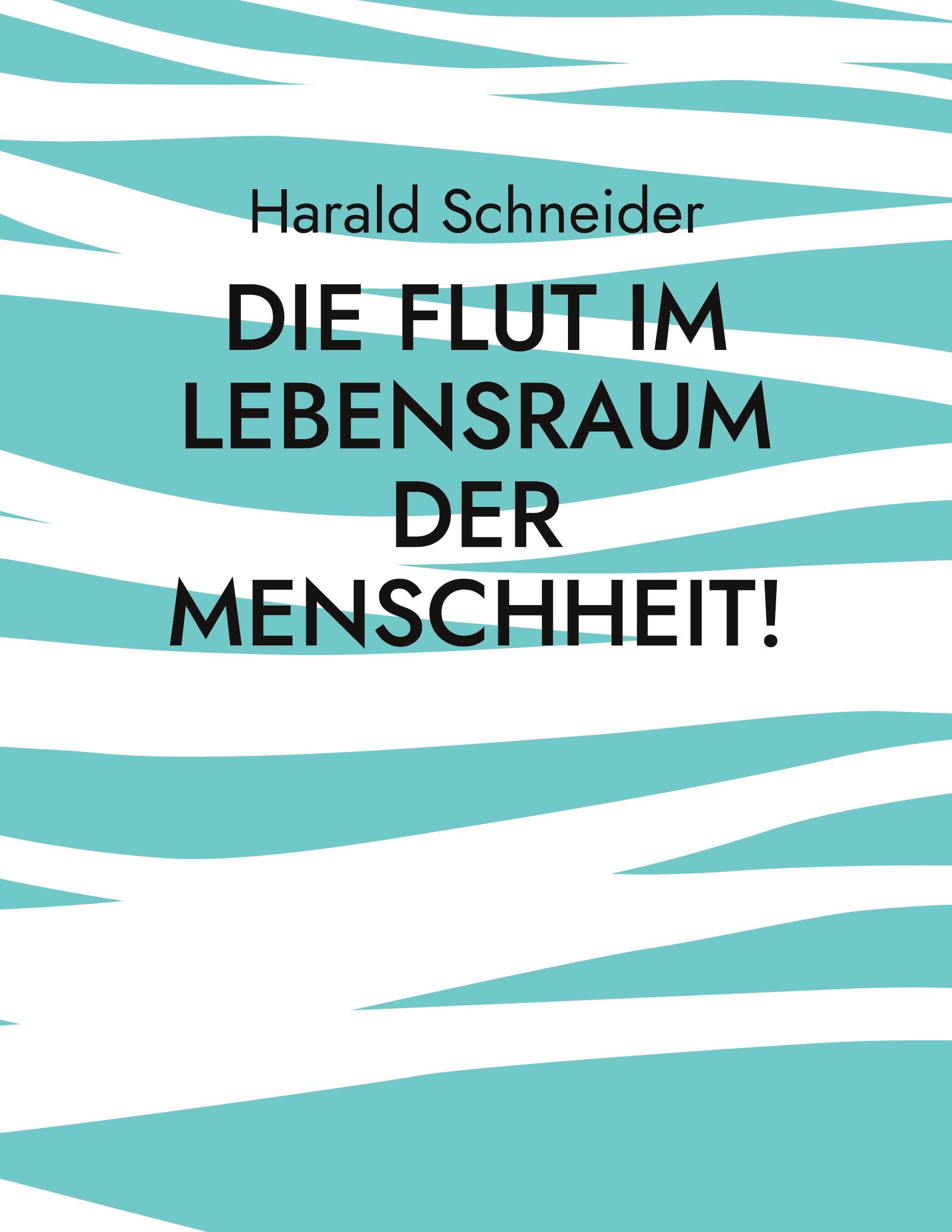 Vorderes Coverbild Die Flut im Lebensraum der Menschheit!
