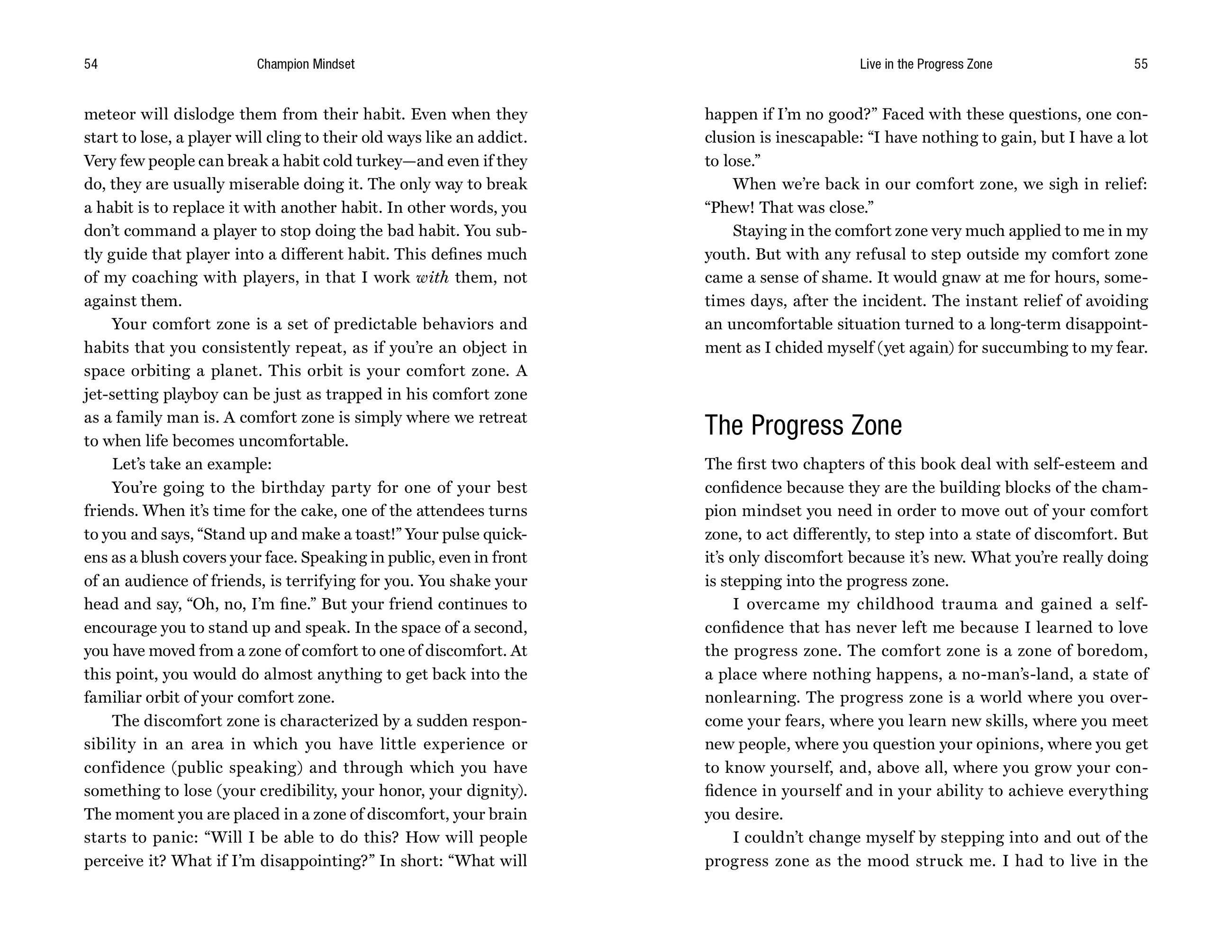 Beispielinhalt (Bild) Champion Mindset