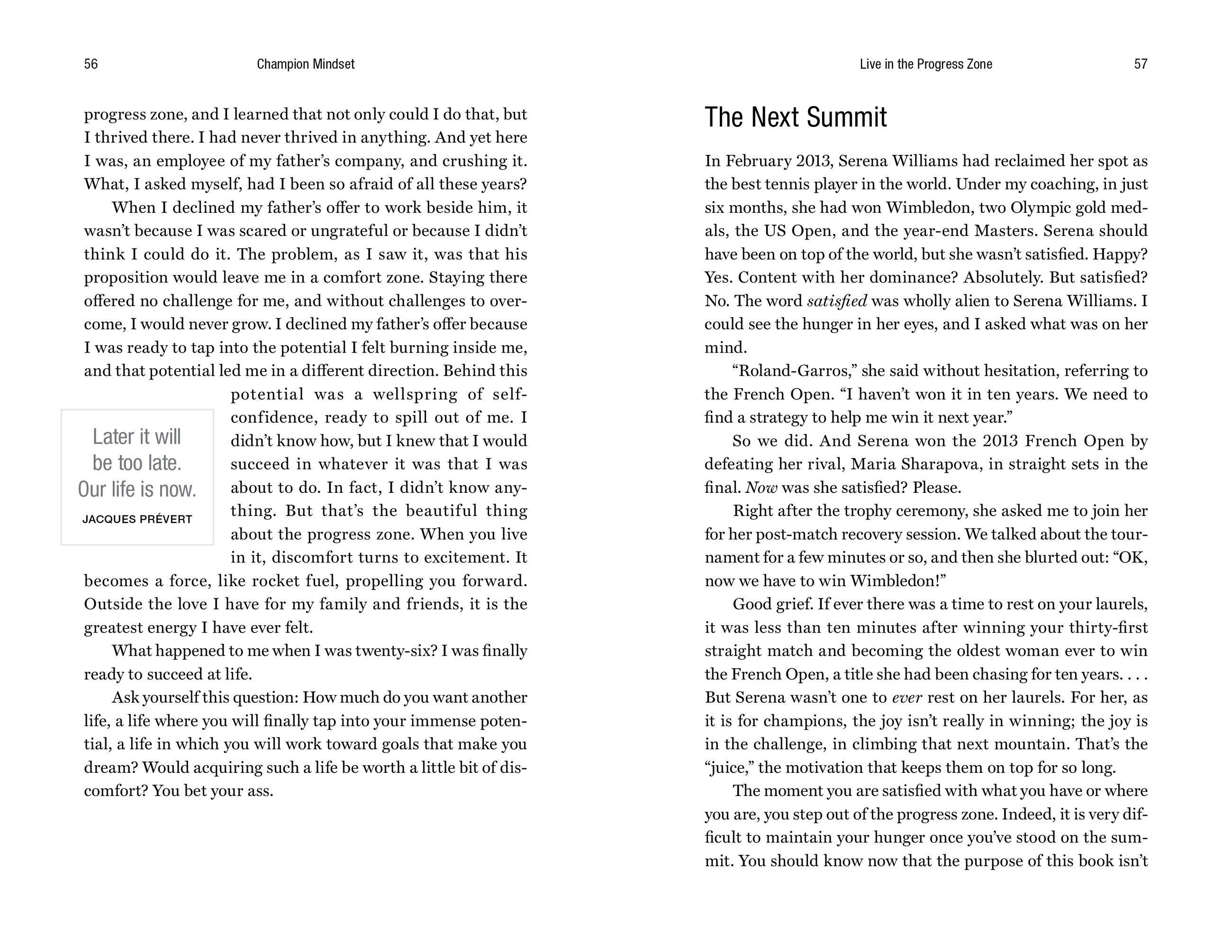 Beispielinhalt (Bild) Champion Mindset