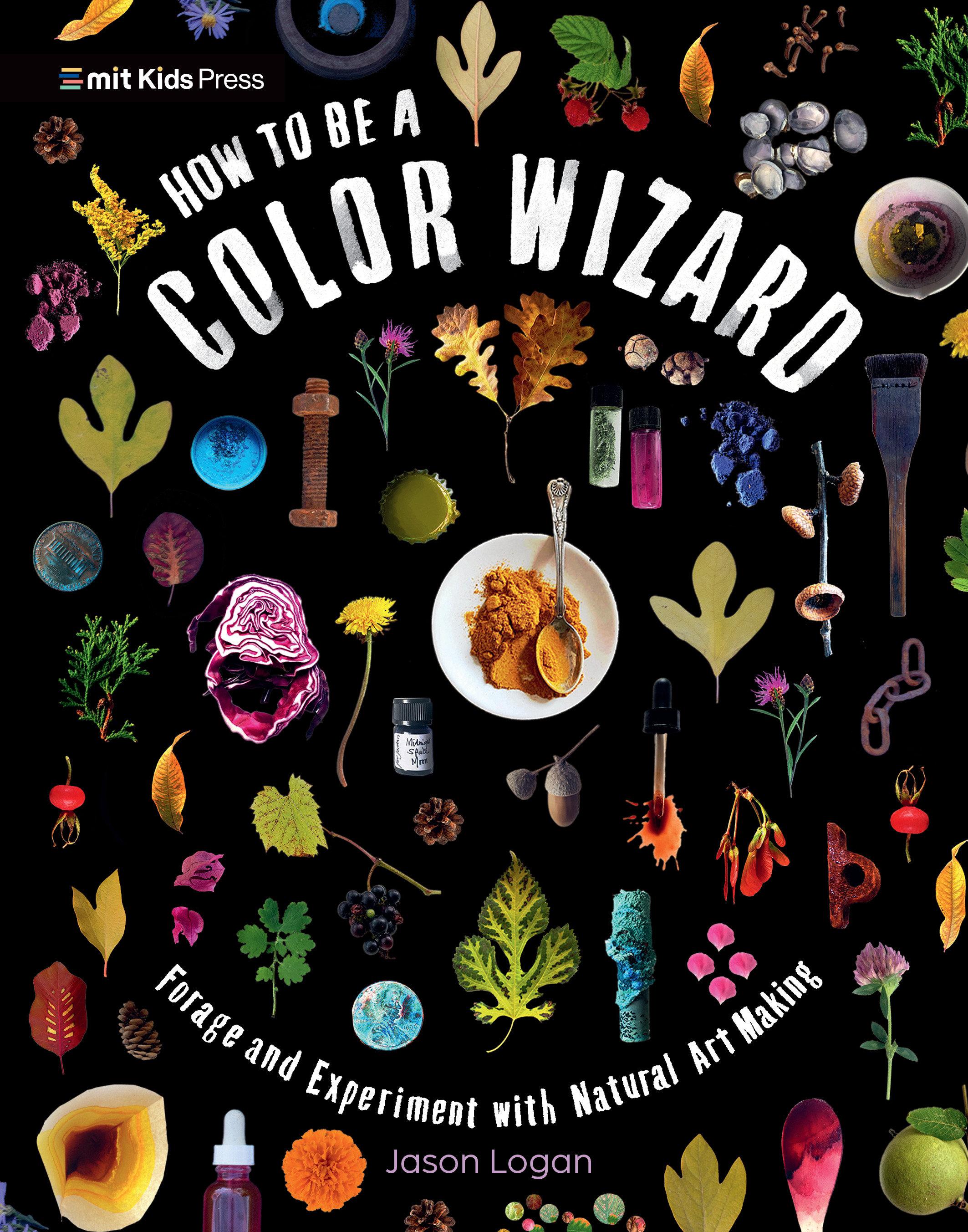 Vorderes Coverbild How to Be a Color Wizard: Forage and Experiment with Natural Art Making