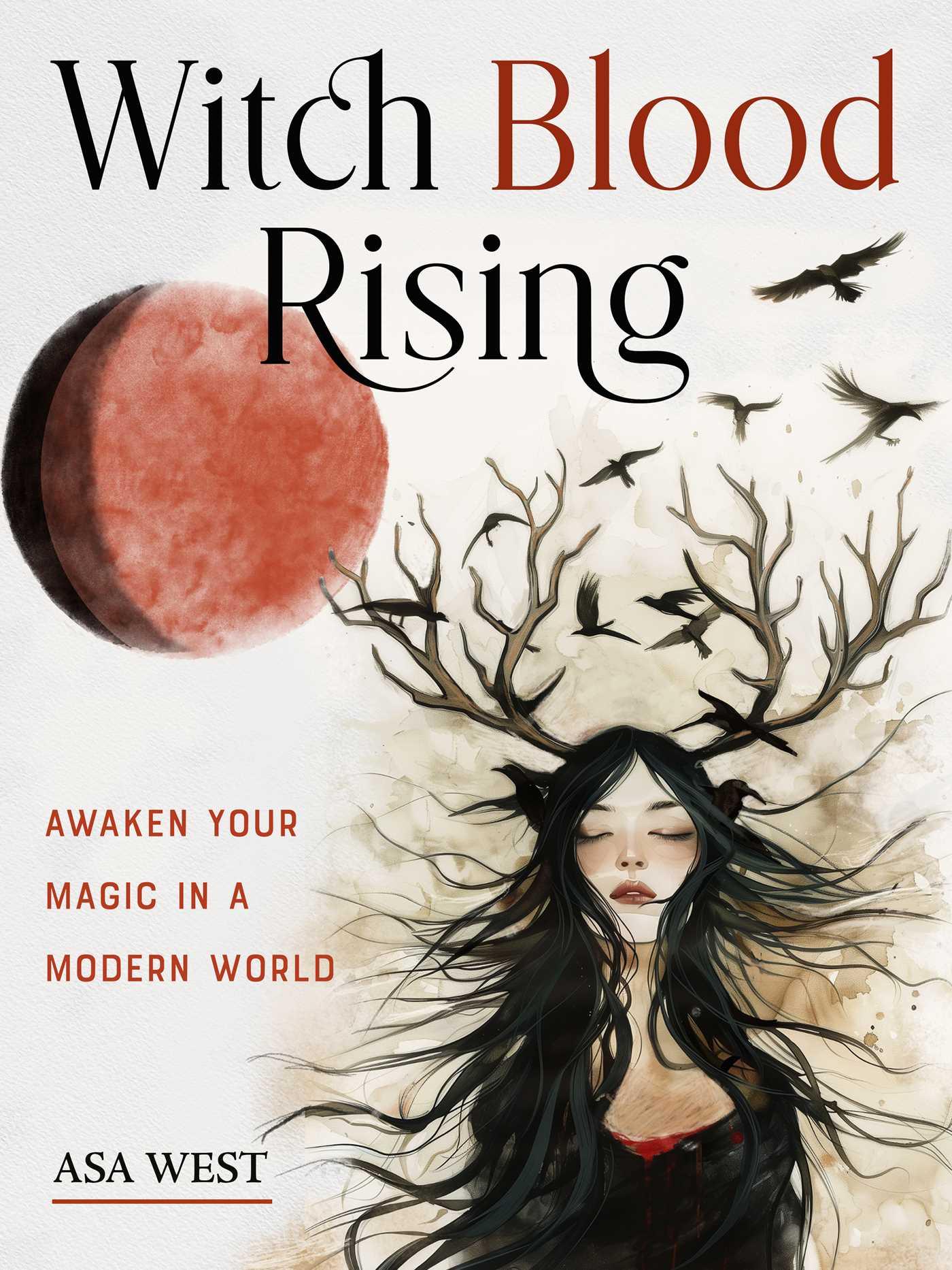 Vorderes Coverbild Witch Blood Rising