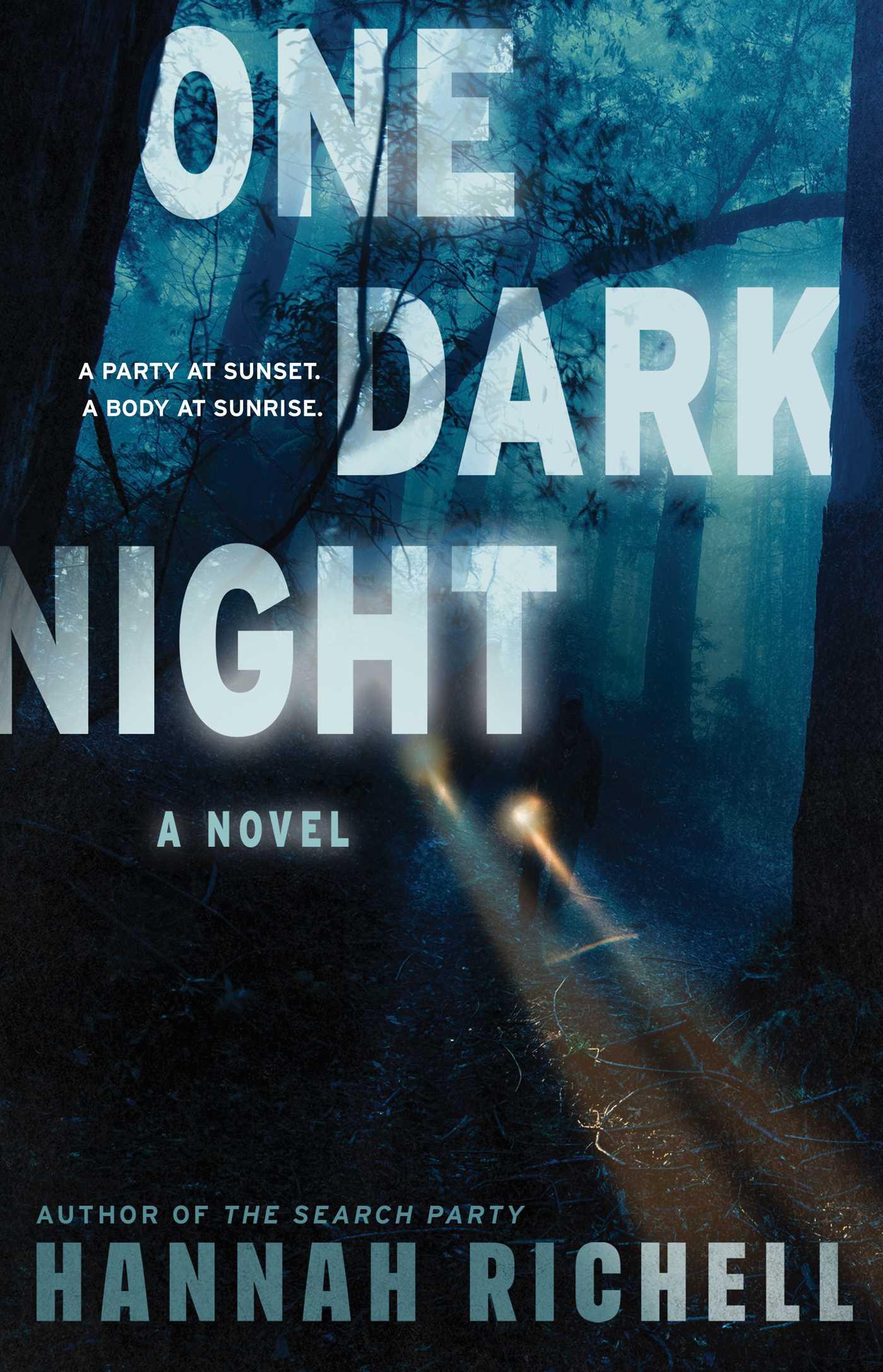 Vorderes Coverbild One Dark Night