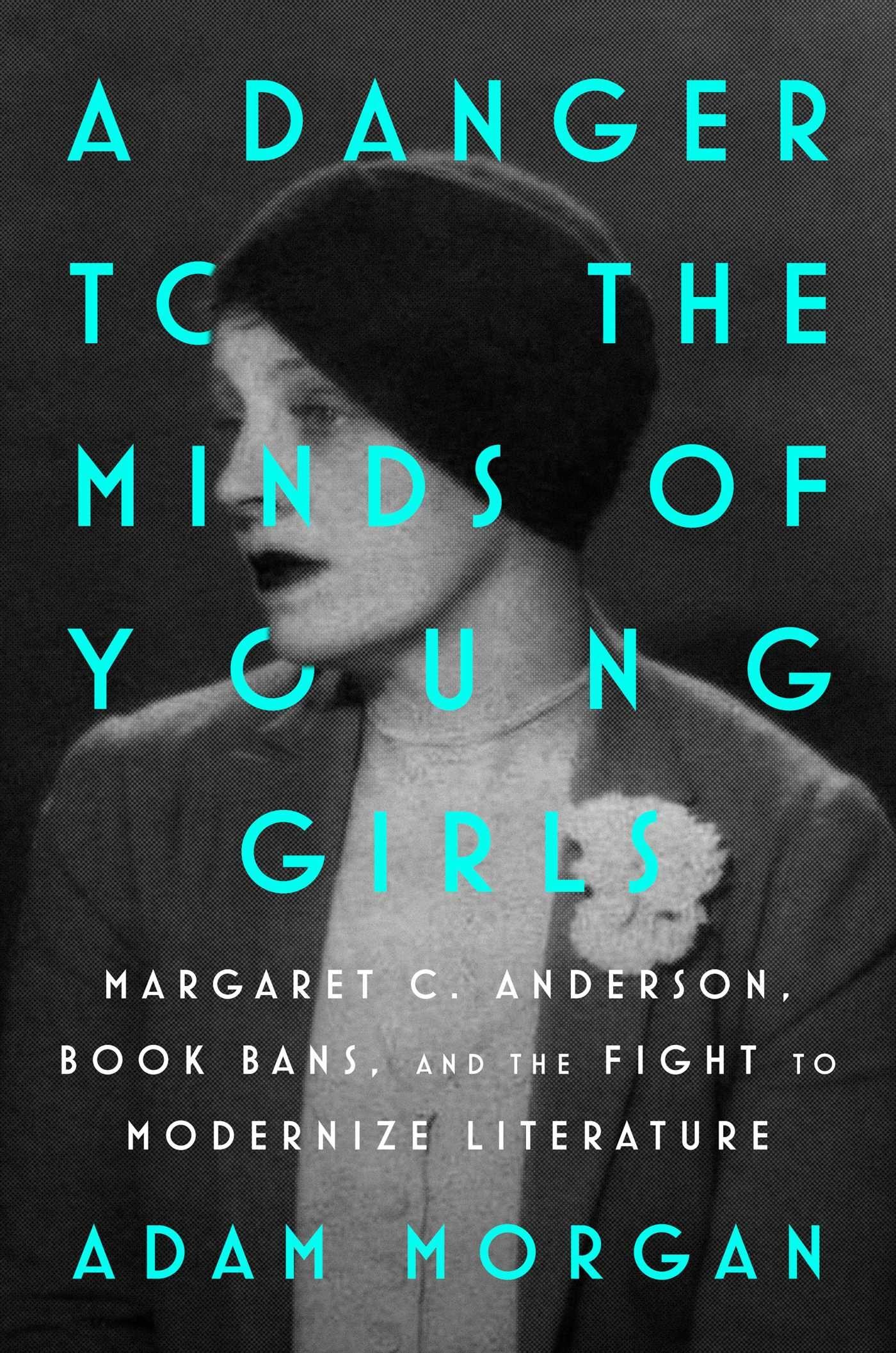 Vorderes Coverbild A Danger to the Minds of Young Girls