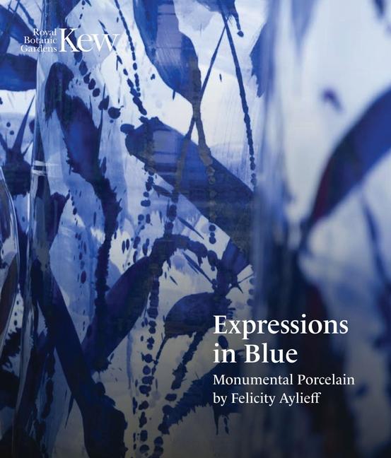 Vorderes Coverbild Expressions in Blue