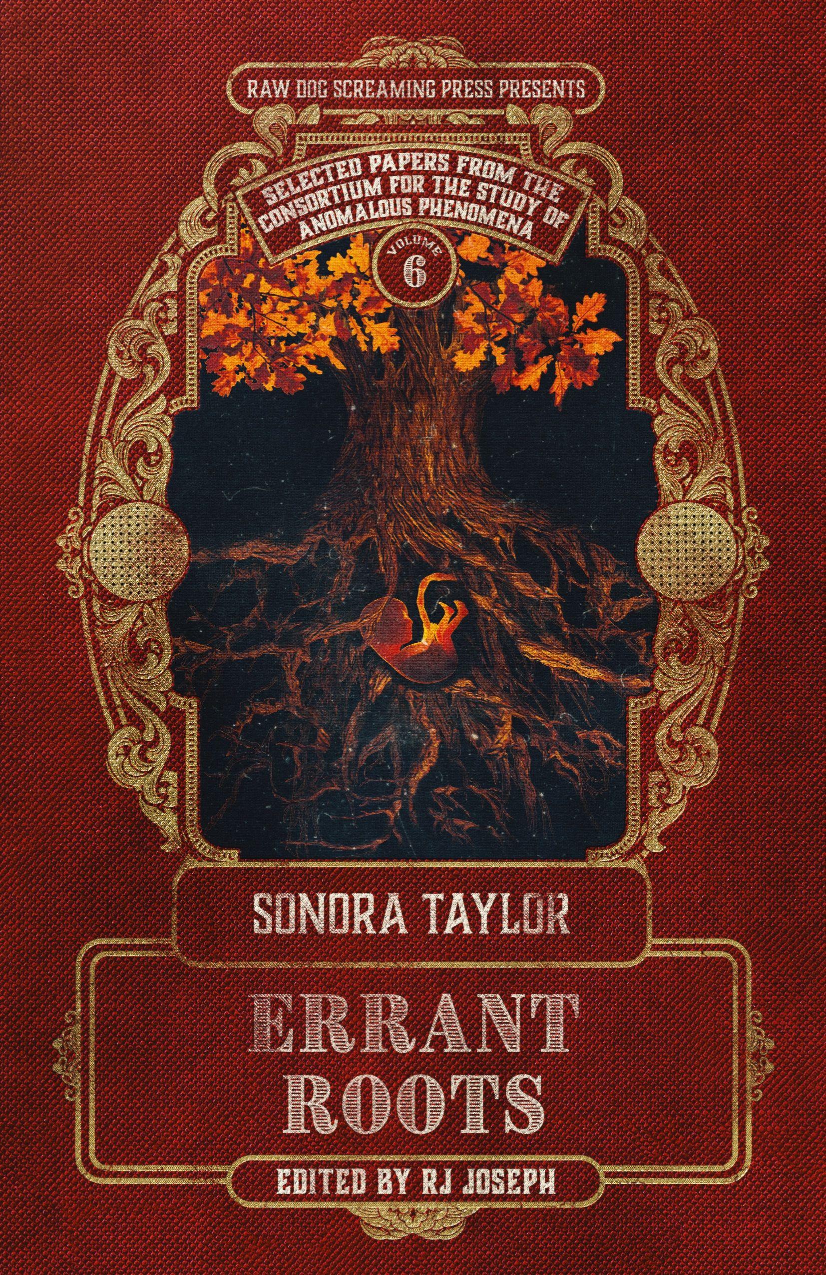 Vorderes Coverbild Errant Roots