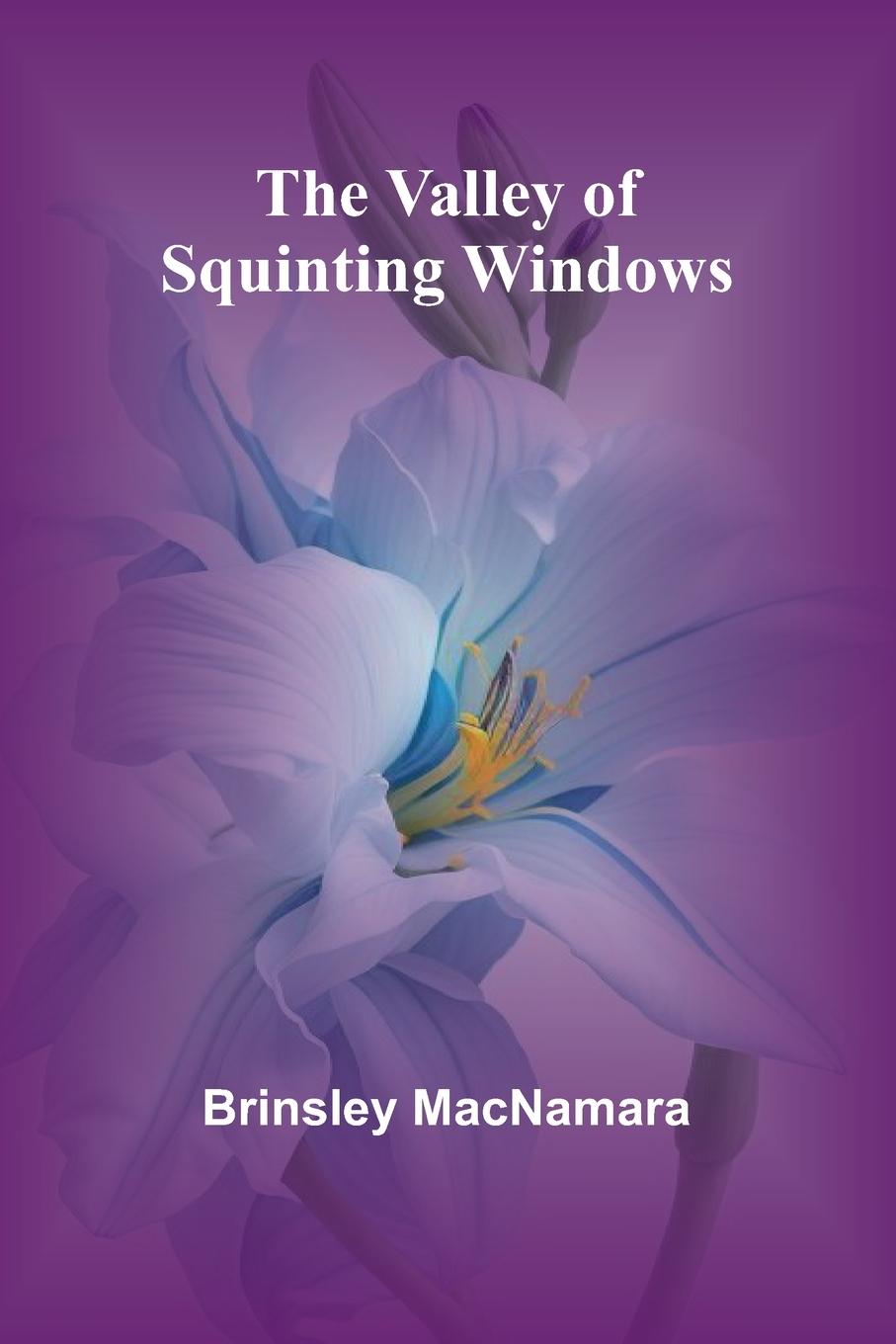 Vorderes Coverbild The Valley of Squinting Windows