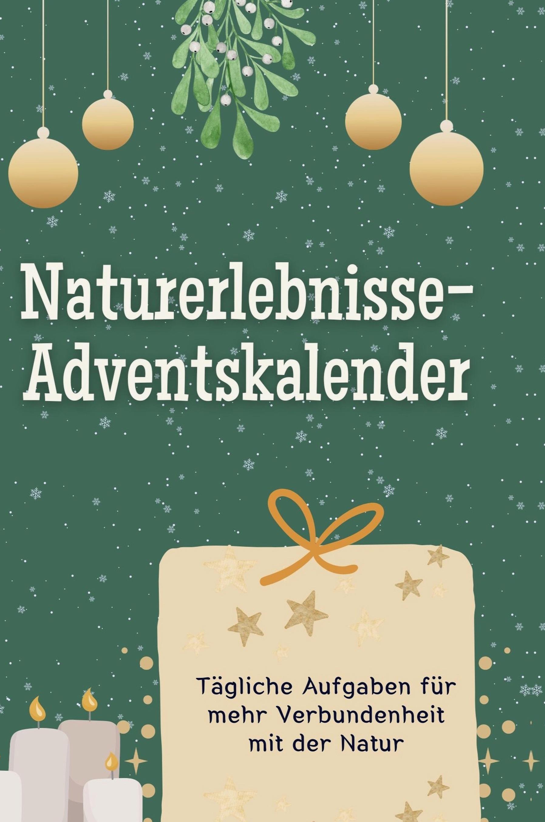 Vorderes Coverbild Naturerlebnisse-Adventskalender
