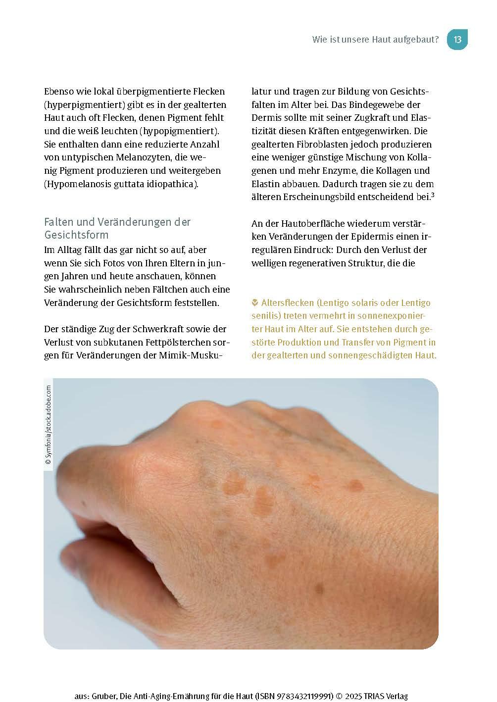 Beispielinhalt (Bild) Die Anti-Aging-Ernährung für die Haut