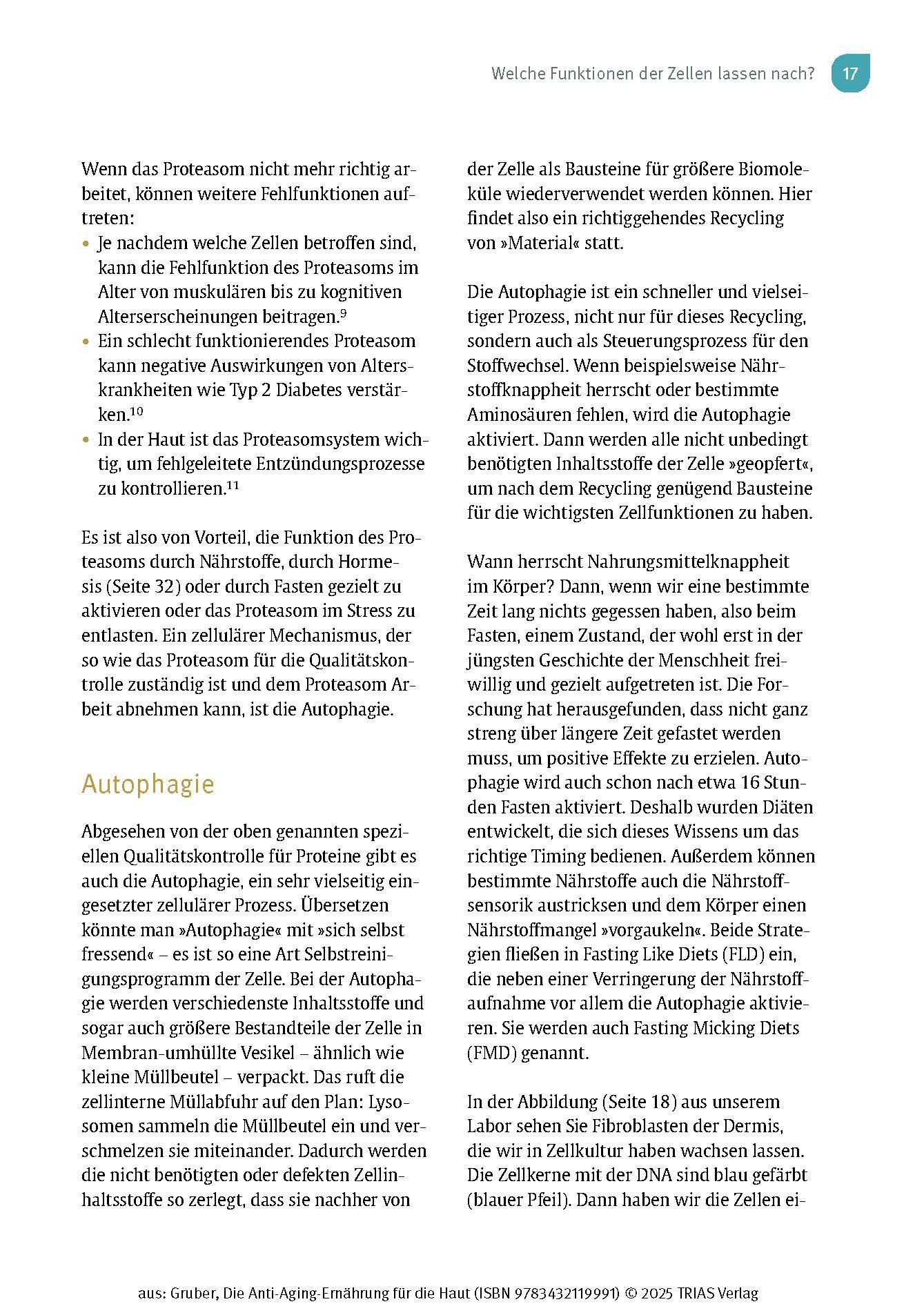 Beispielinhalt (Bild) Die Anti-Aging-Ernährung für die Haut