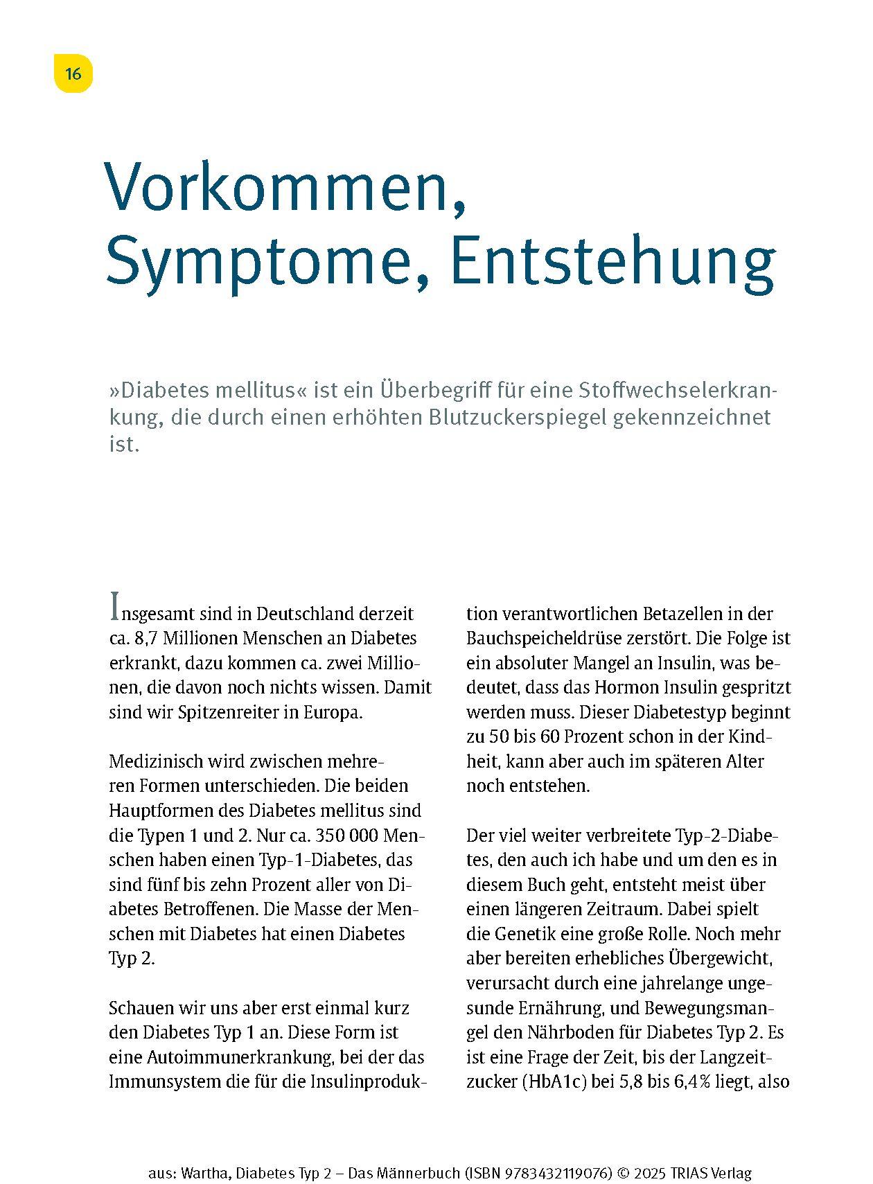 Beispielinhalt (Bild) Diabetes Typ 2 - Das Männerbuch