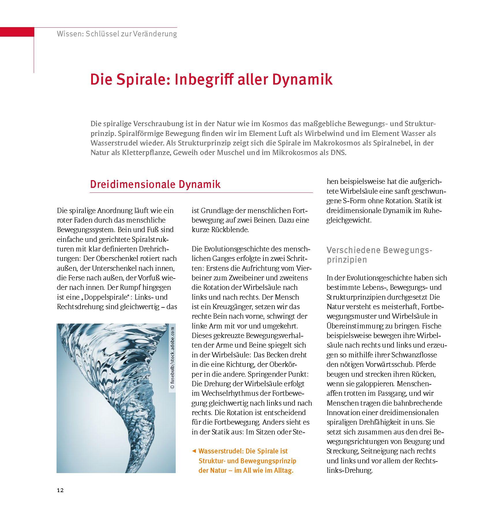 Beispielinhalt (Bild) Skoliose - Aufrecht durch Bewegung