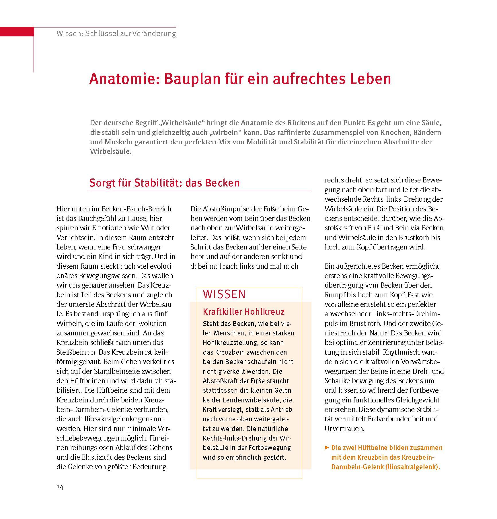 Beispielinhalt (Bild) Skoliose - Aufrecht durch Bewegung