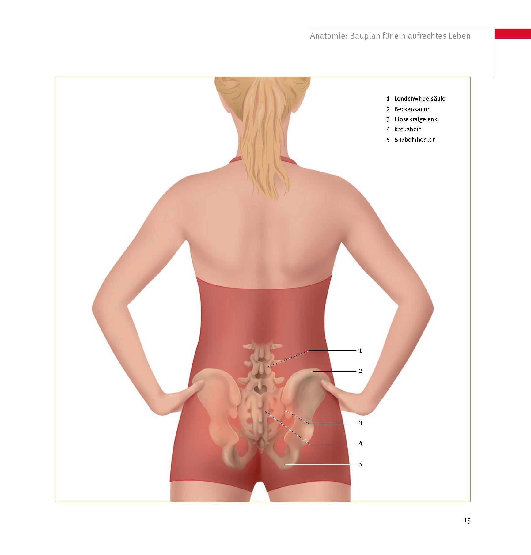 Beispielinhalt (Bild) Skoliose - Aufrecht durch Bewegung