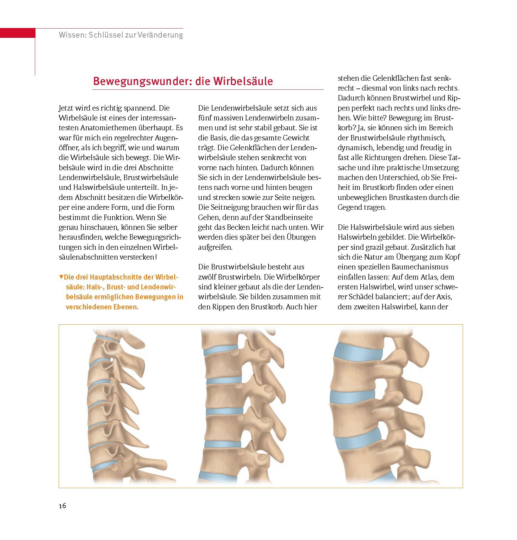 Beispielinhalt (Bild) Skoliose - Aufrecht durch Bewegung