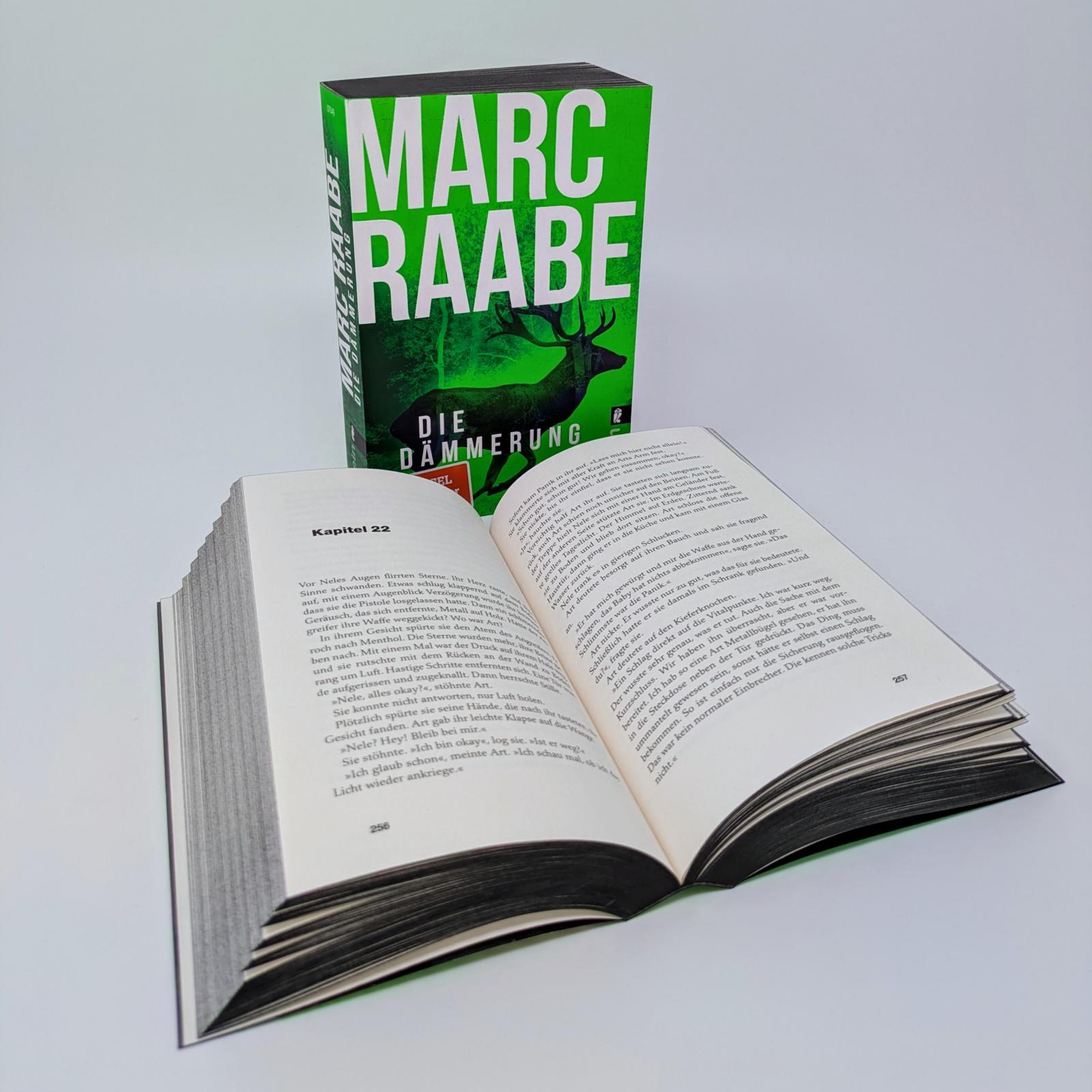 Beispielinhalt (Bild) Die Dämmerung