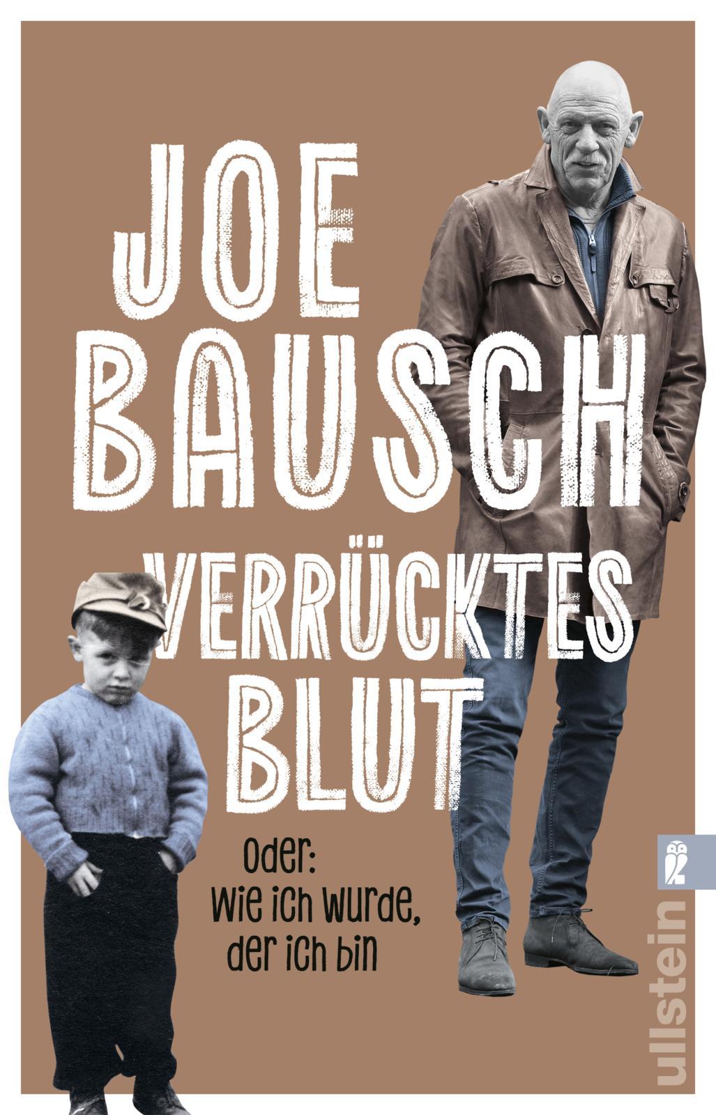 Vorderes Coverbild Verrücktes Blut