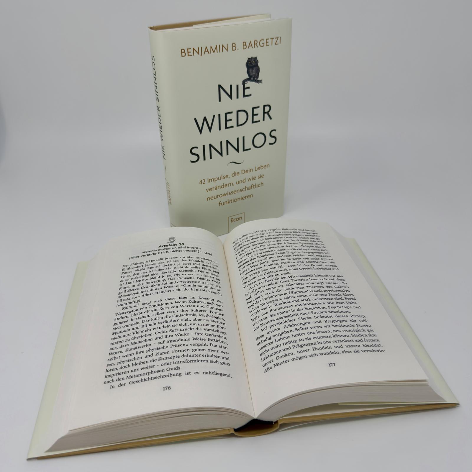Beispielinhalt (Bild) Nie wieder sinnlos