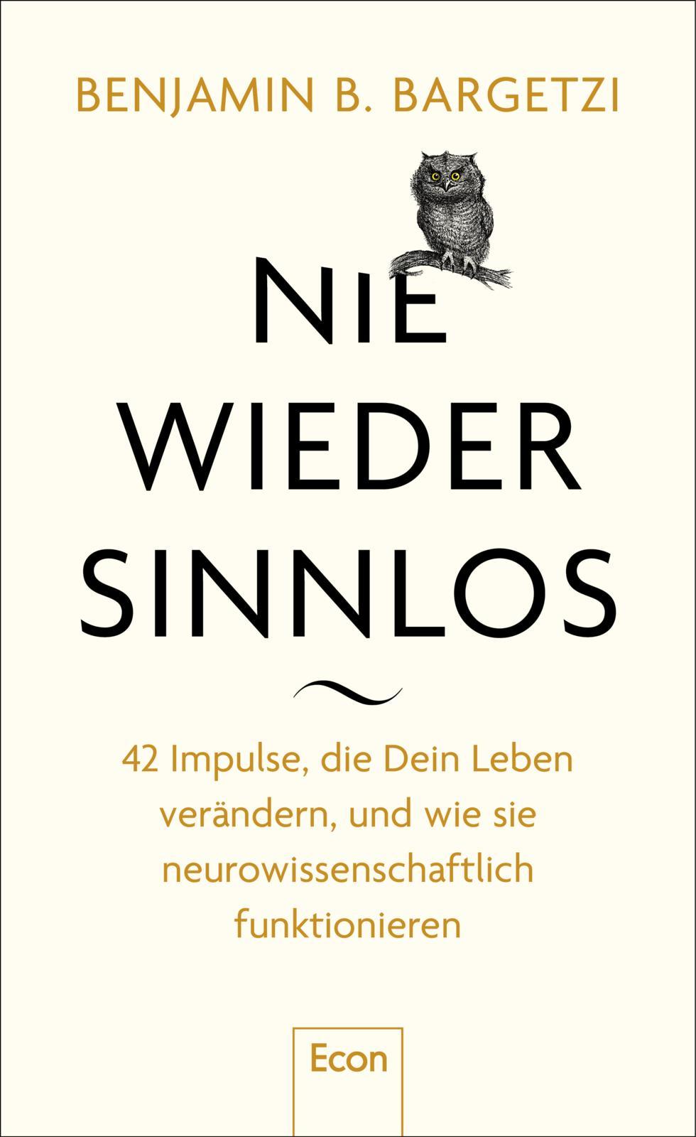 Vorderes Coverbild Nie wieder sinnlos