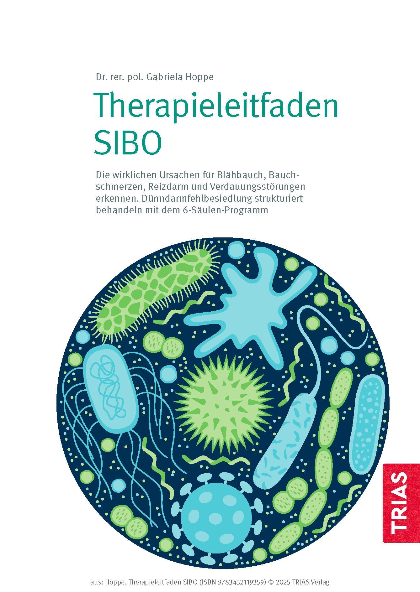 Beispielinhalt (Bild) Therapieleitfaden SIBO