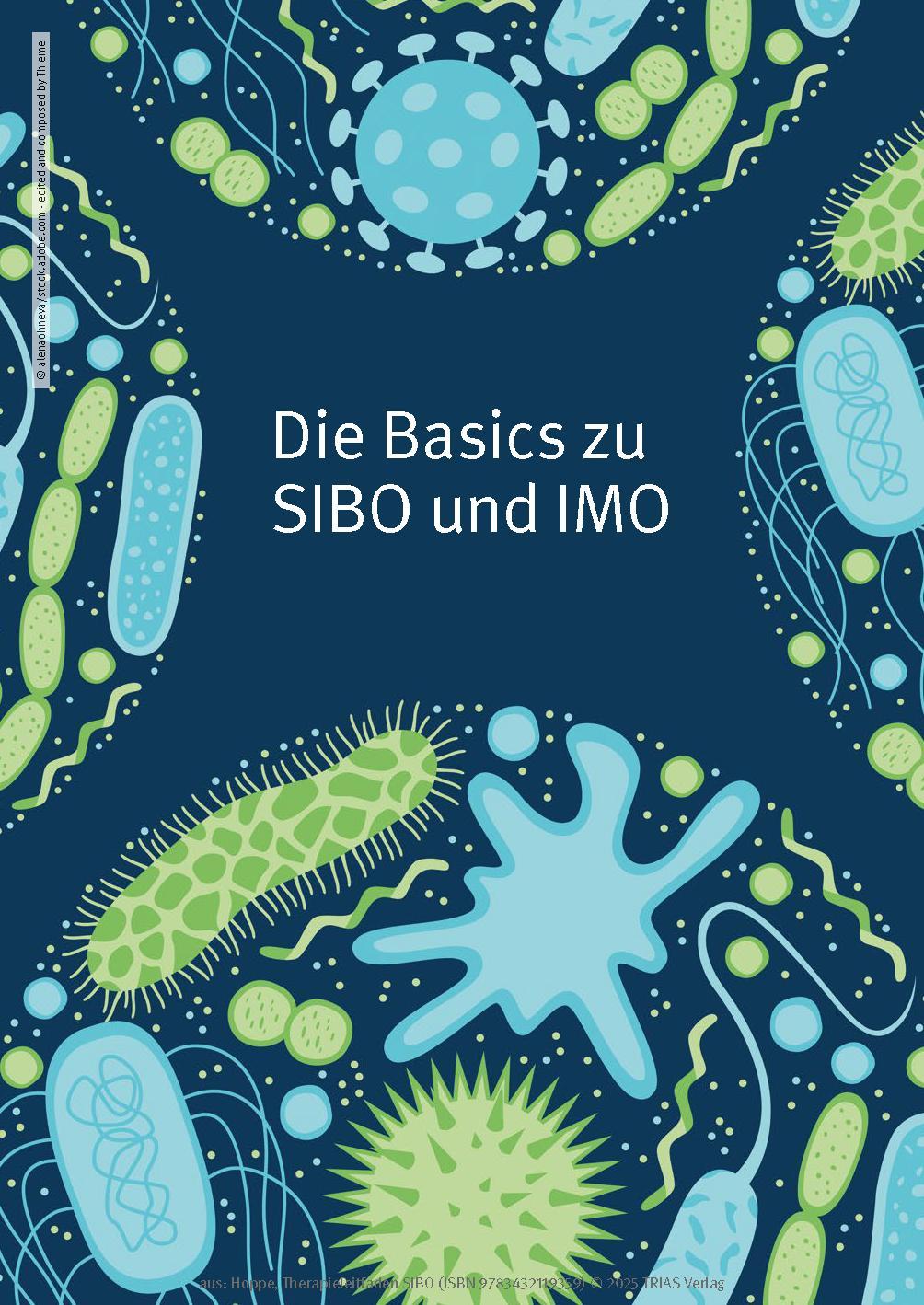 Beispielinhalt (Bild) Therapieleitfaden SIBO