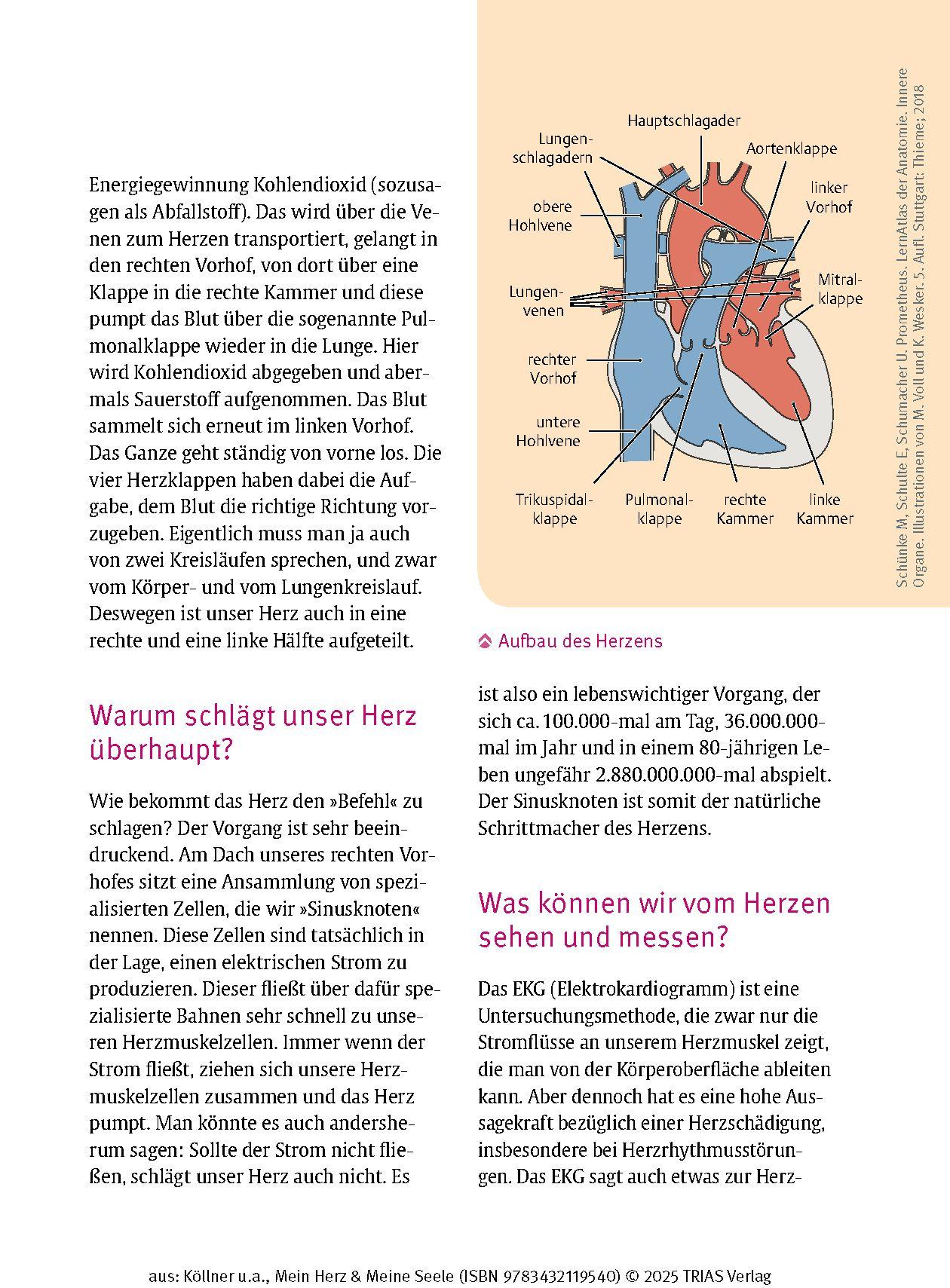 Beispielinhalt (Bild) Mein Herz & Meine Seele
