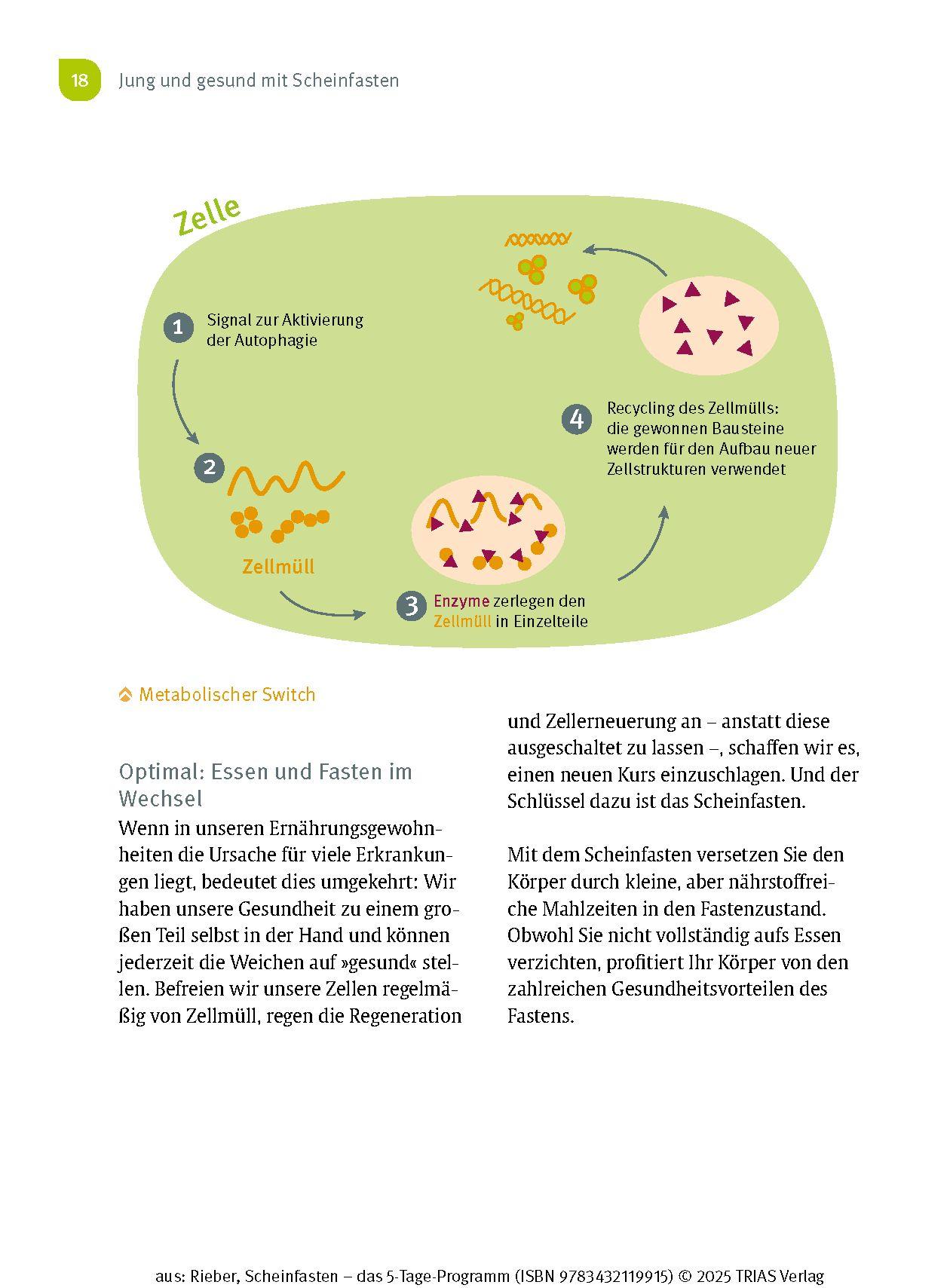 Beispielinhalt (Bild) Scheinfasten - das 5-Tage-Programm