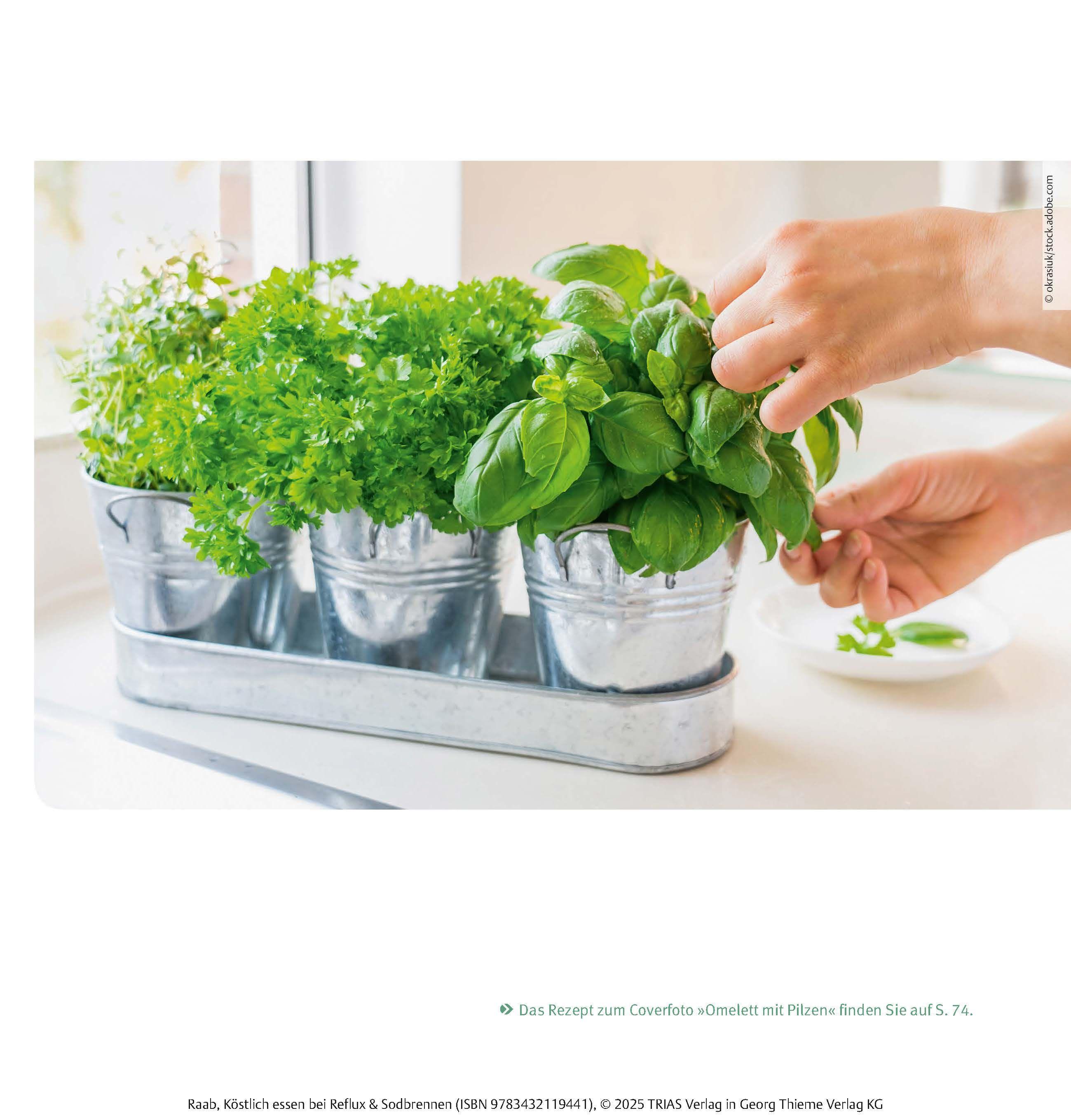 Beispielinhalt (Bild) Köstlich essen Reflux und Sodbrennen