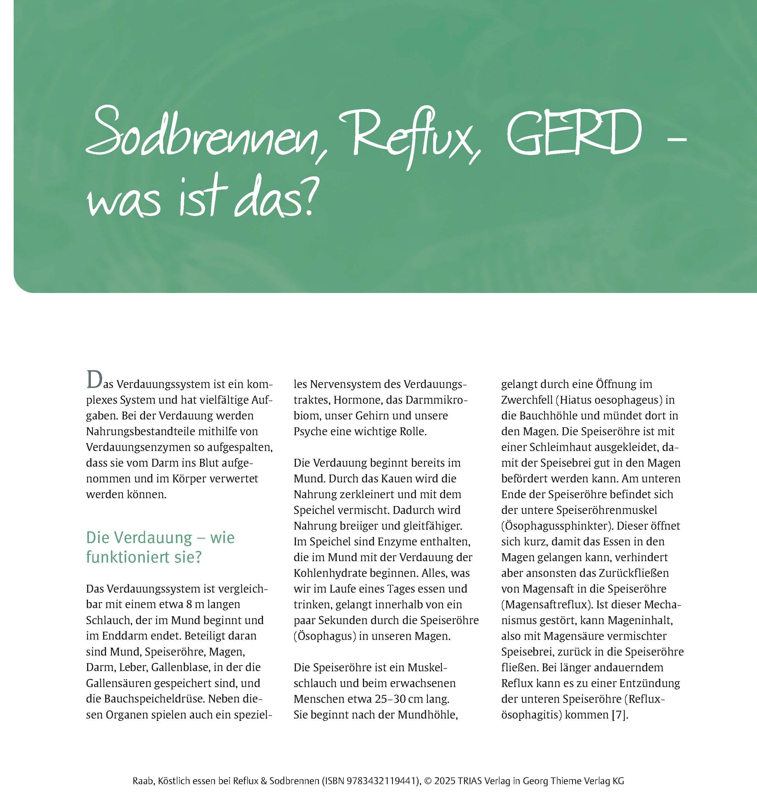 Beispielinhalt (Bild) Köstlich essen Reflux und Sodbrennen