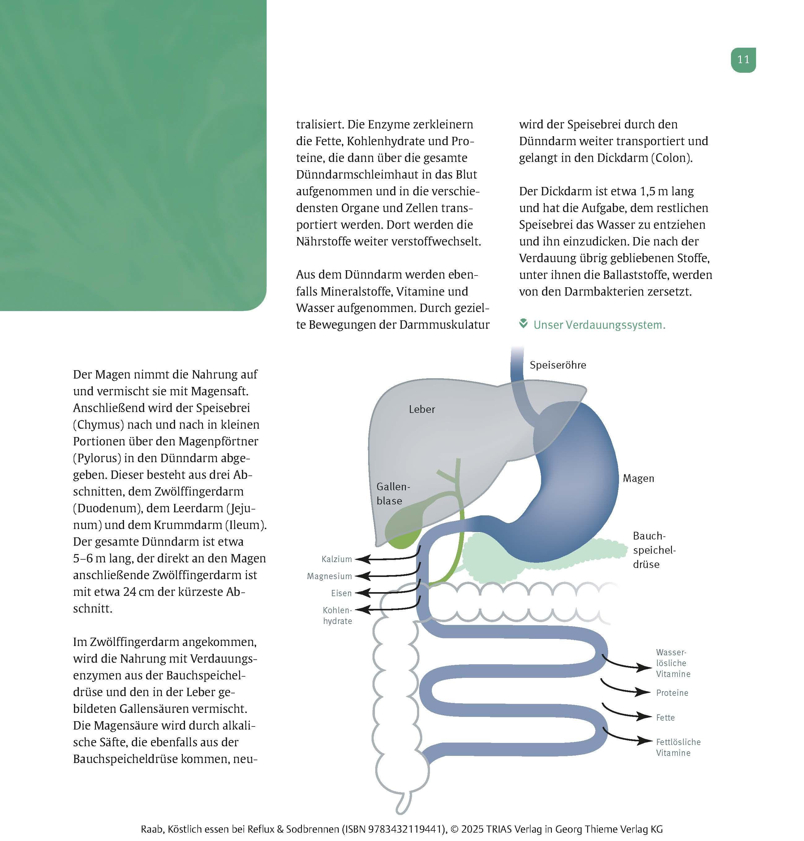 Beispielinhalt (Bild) Köstlich essen Reflux und Sodbrennen