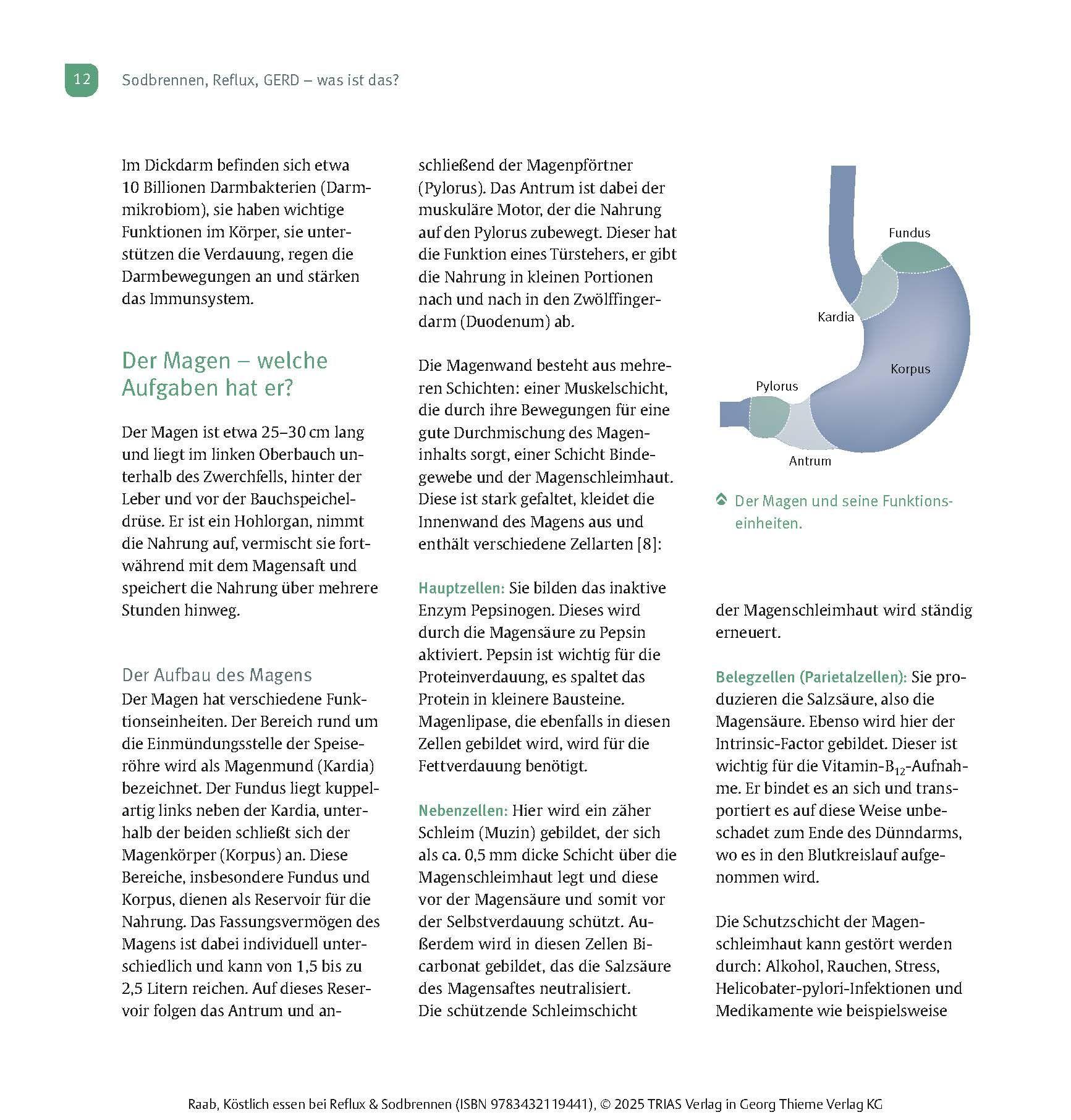 Beispielinhalt (Bild) Köstlich essen Reflux und Sodbrennen