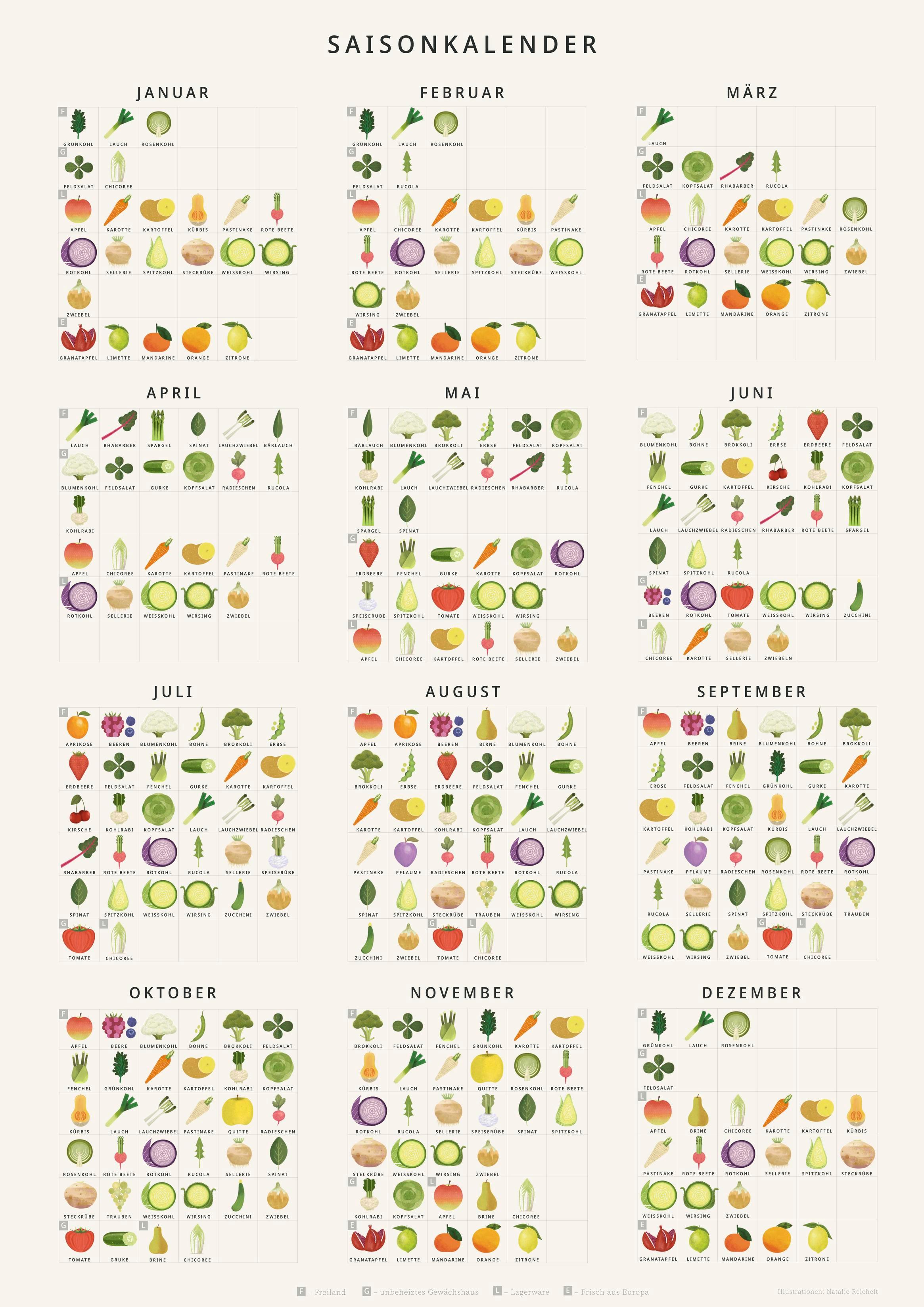 Beispielinhalt (Bild) Vegan fürs Klima