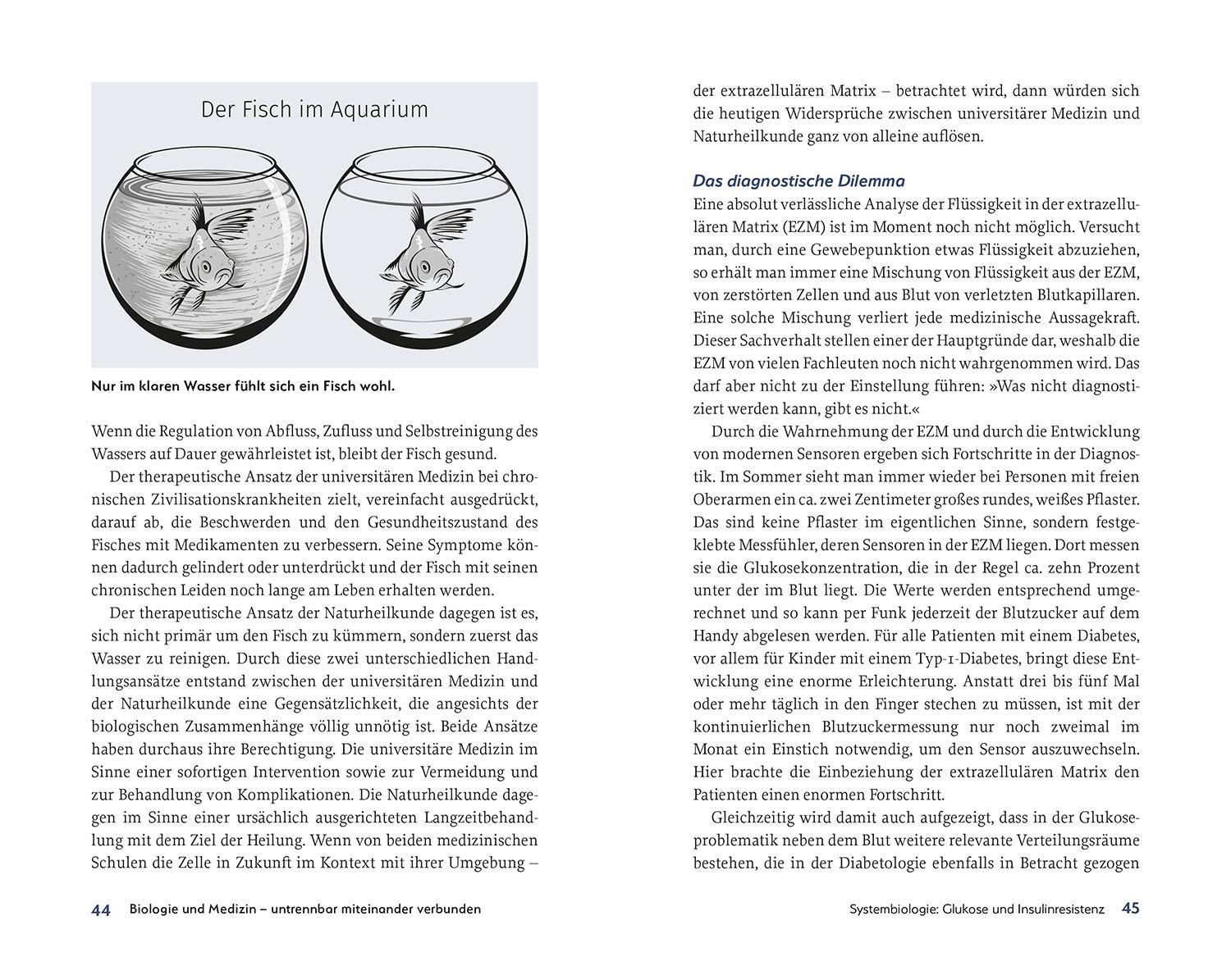 Beispielinhalt (Bild) Raus aus der Insulin-Falle